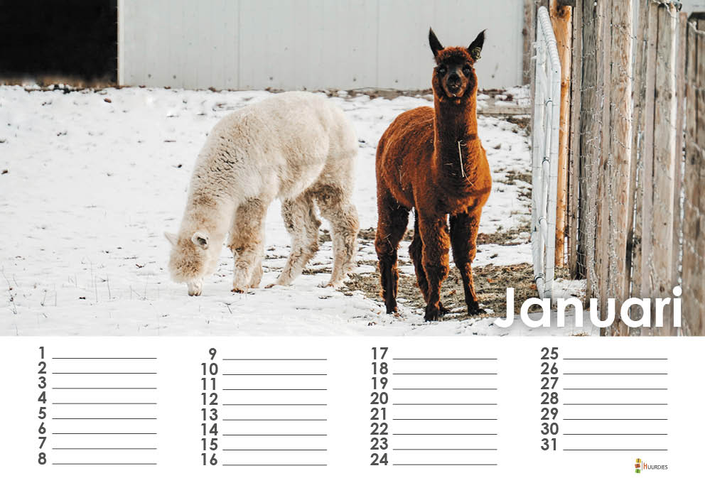 Alpaca Kalender