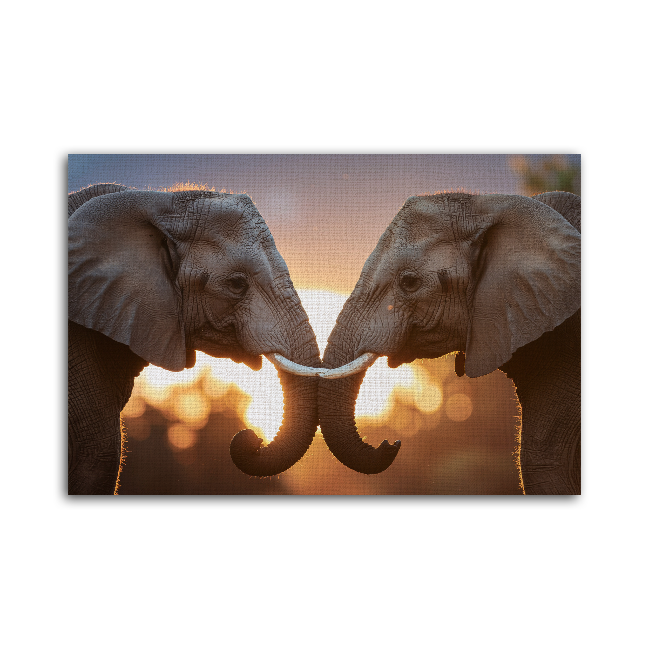 Bound by Light - Huurdies