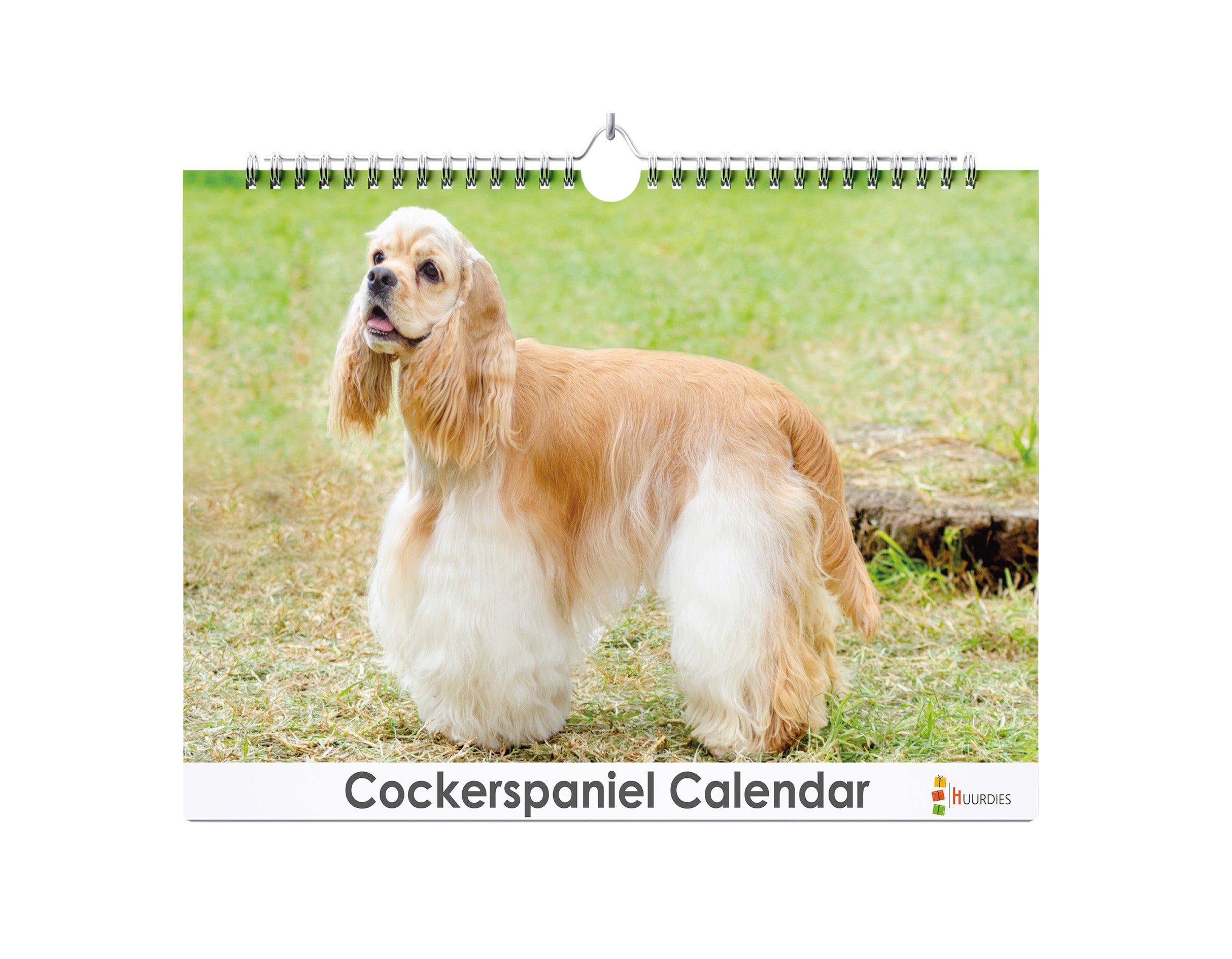 American Cockerspaniël Kalender
