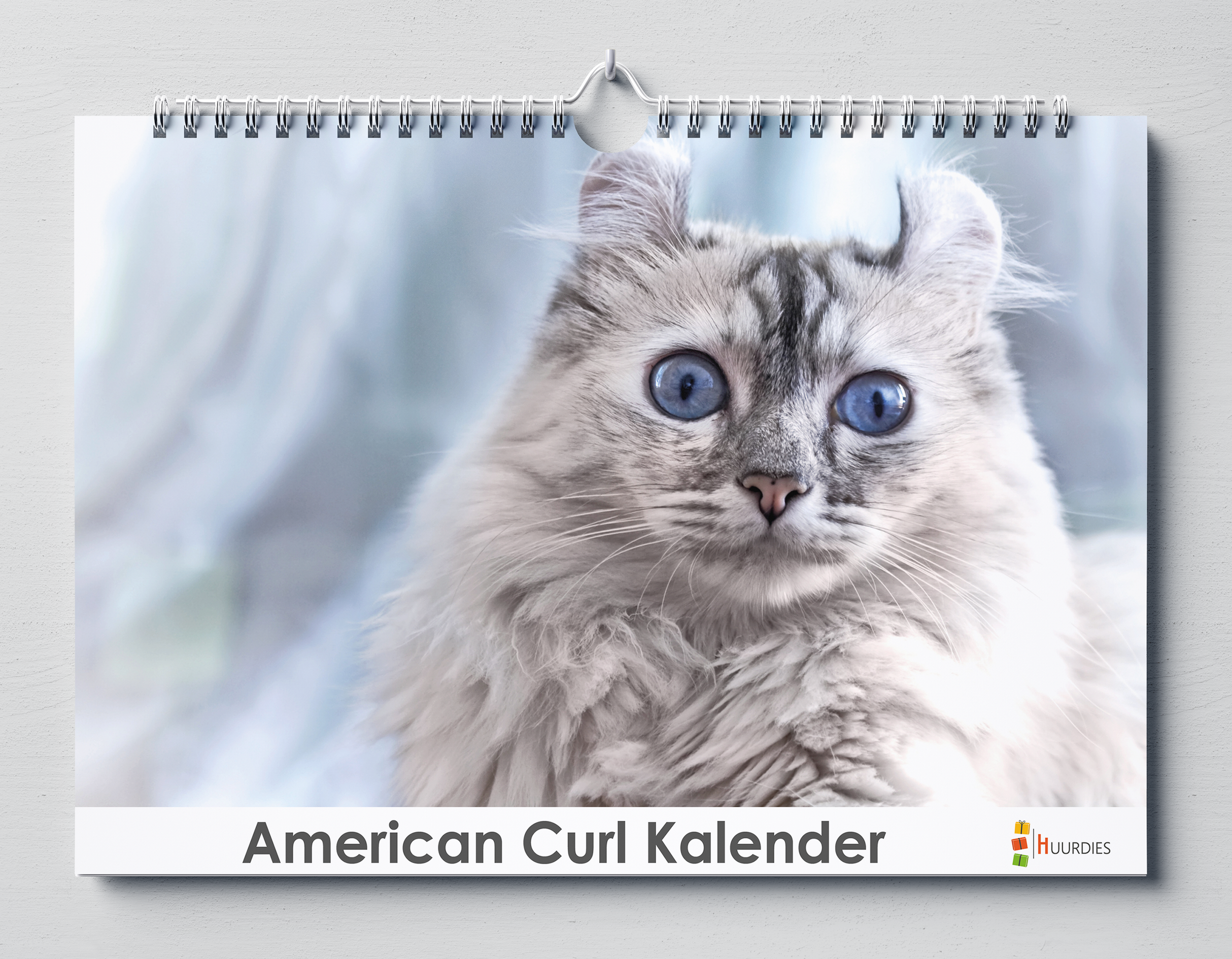 American Curl Kalender