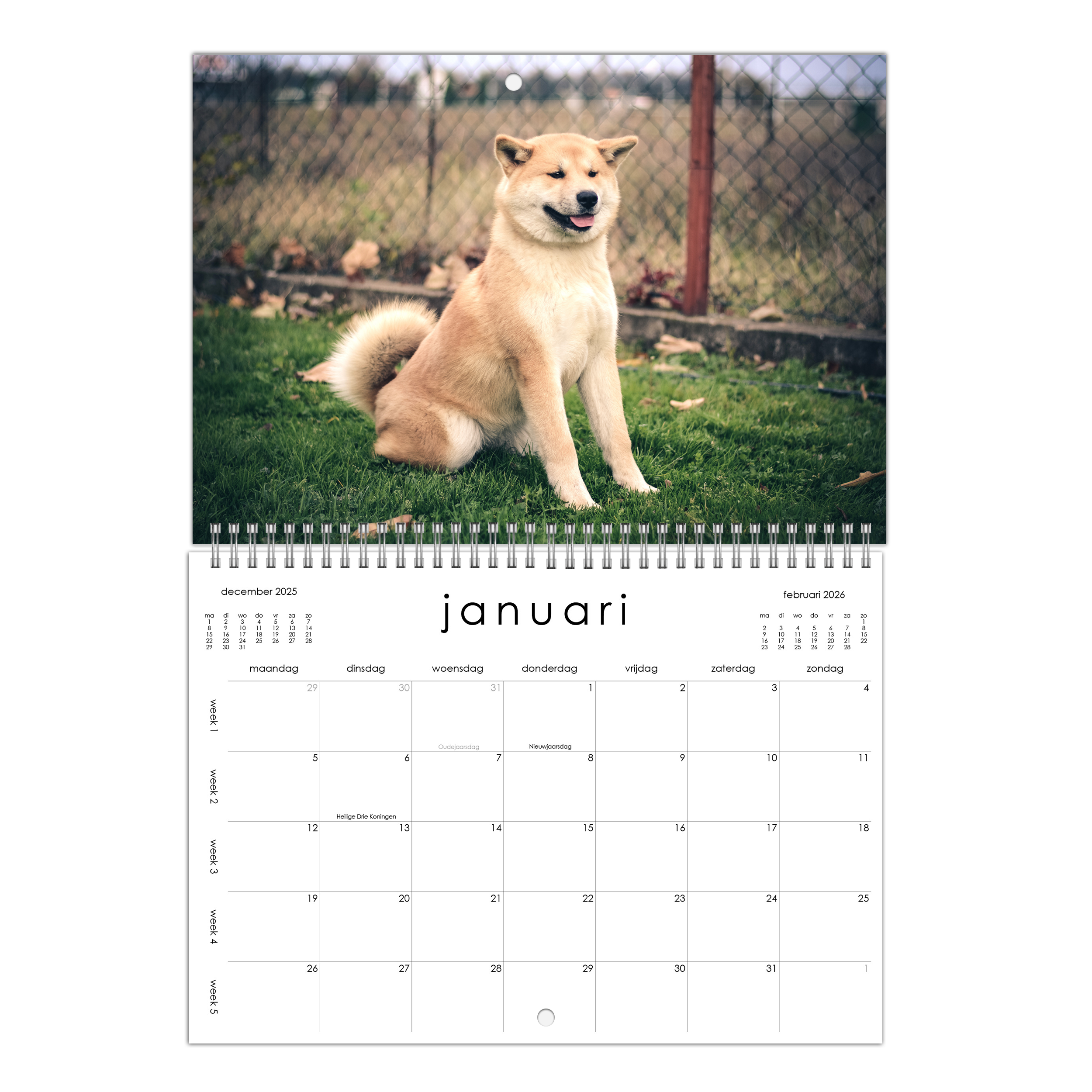 Akita Kalender