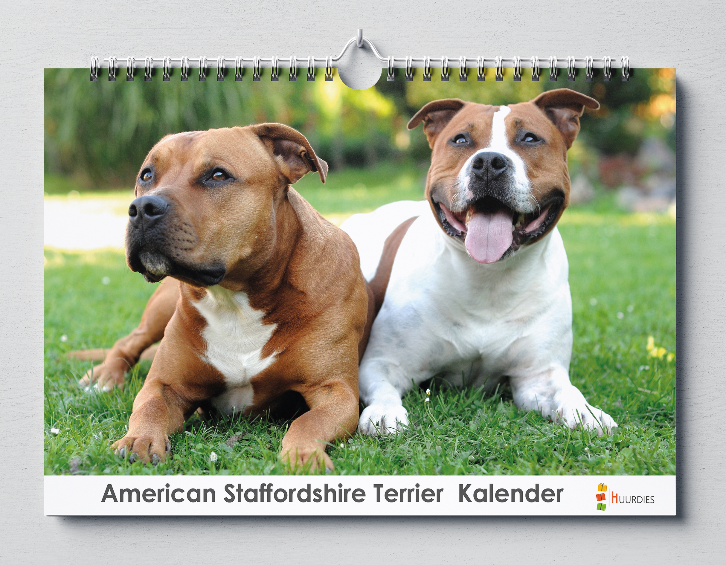 American Staffordshire Kalender