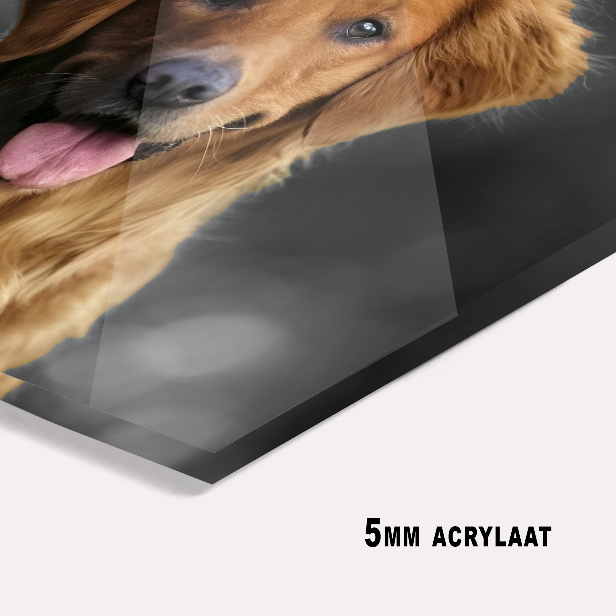 Dikte van plexiglas schilderij