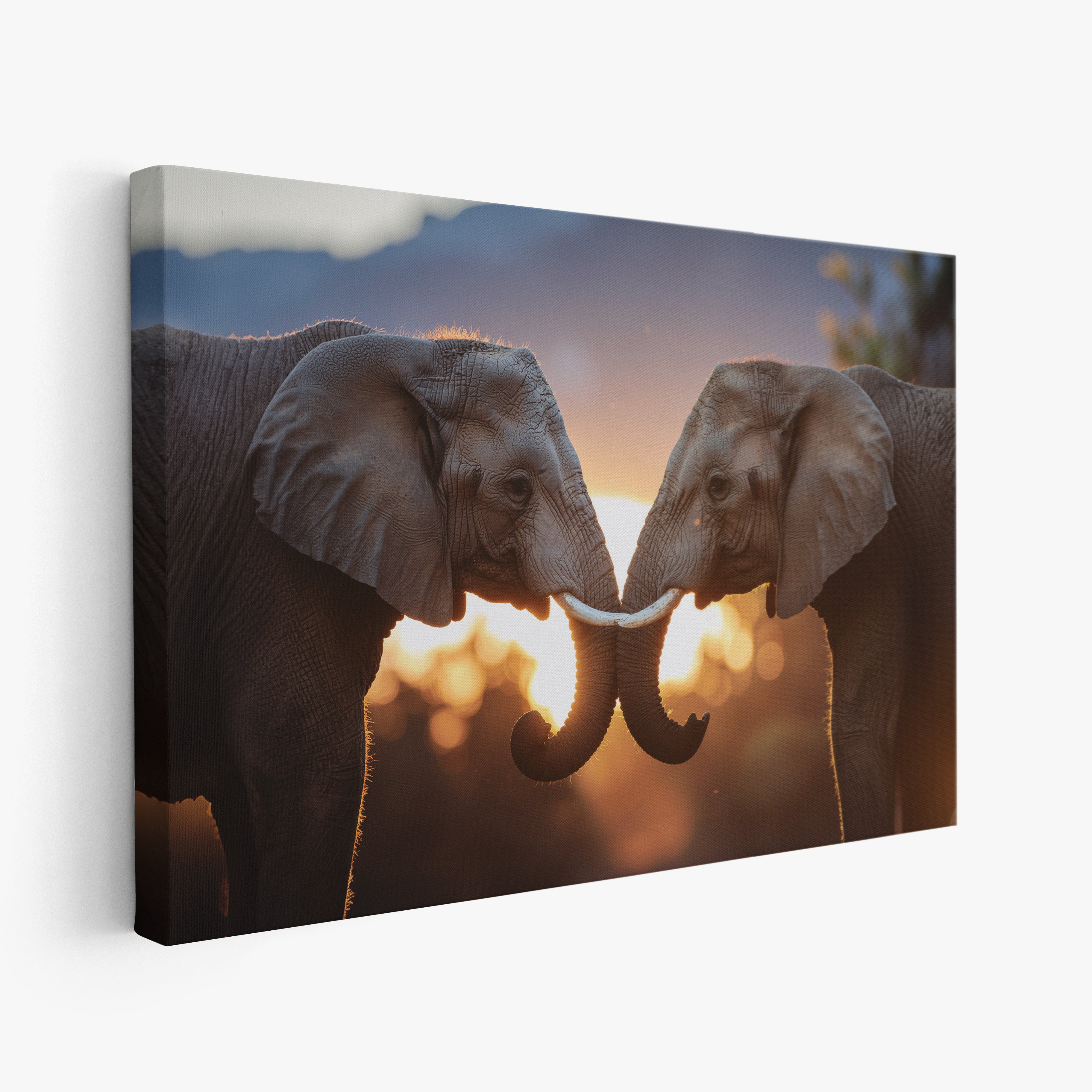 Bound by Light - Huurdies