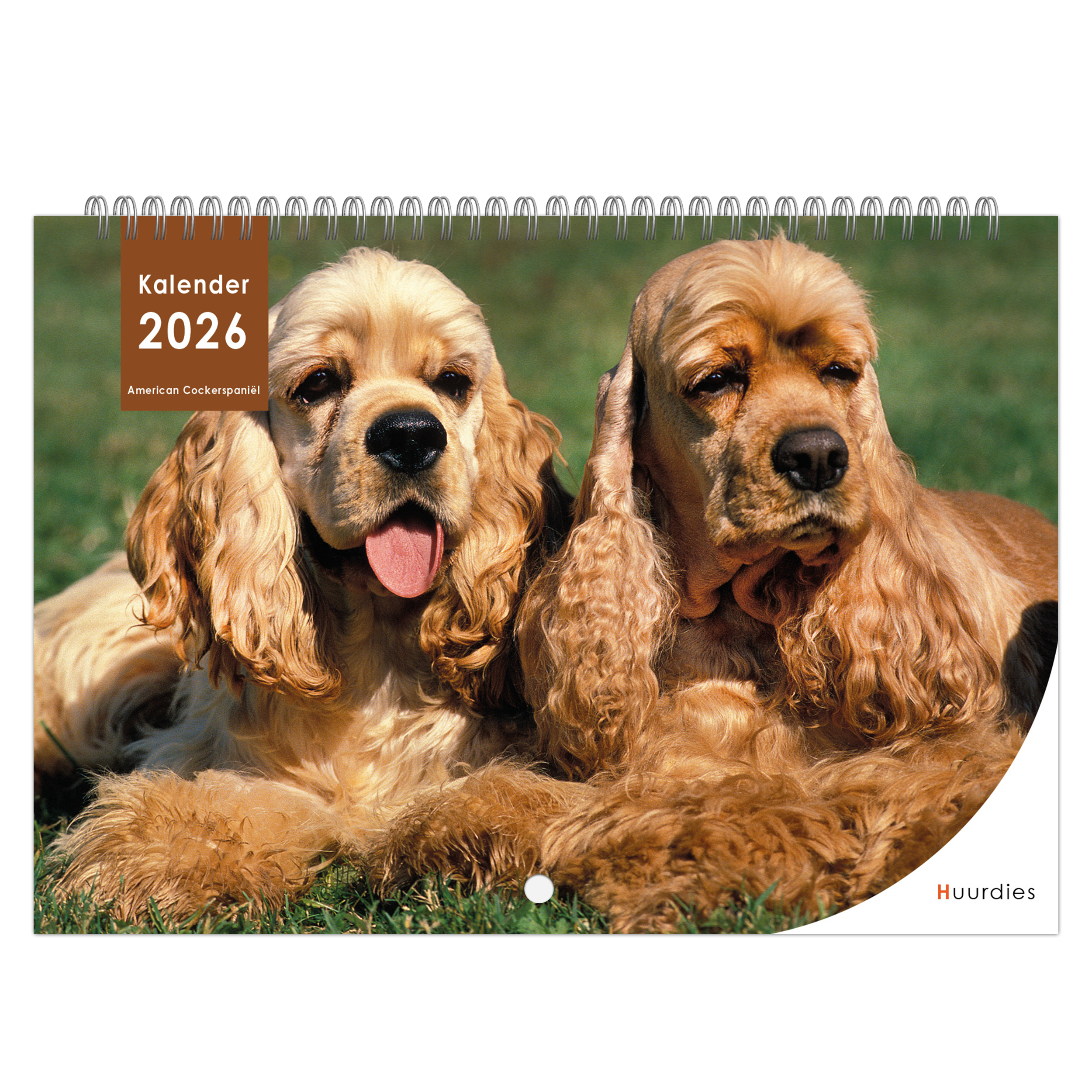 American Cockerspaniël Kalender