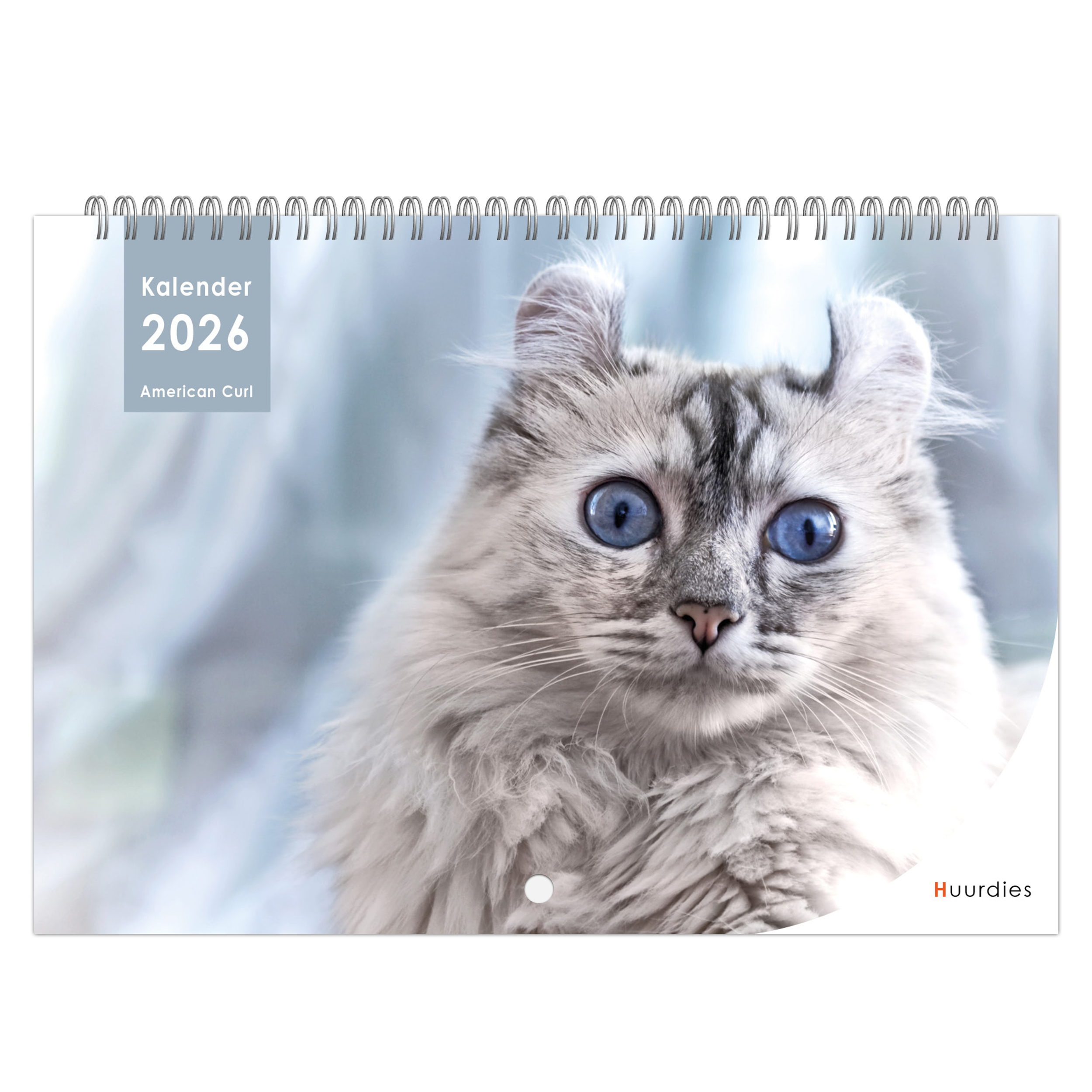 American Curl Kalender