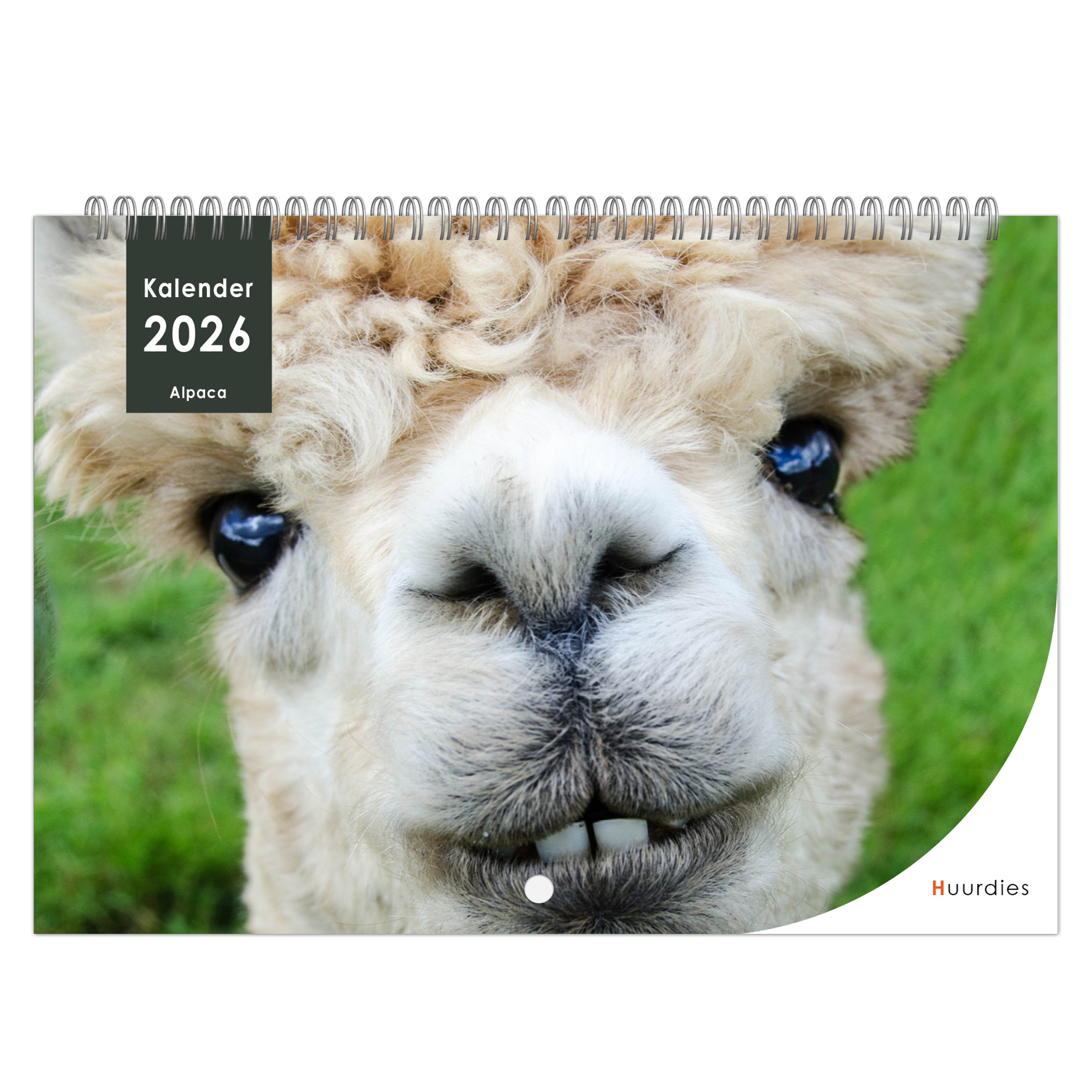 Alpaca Kalender