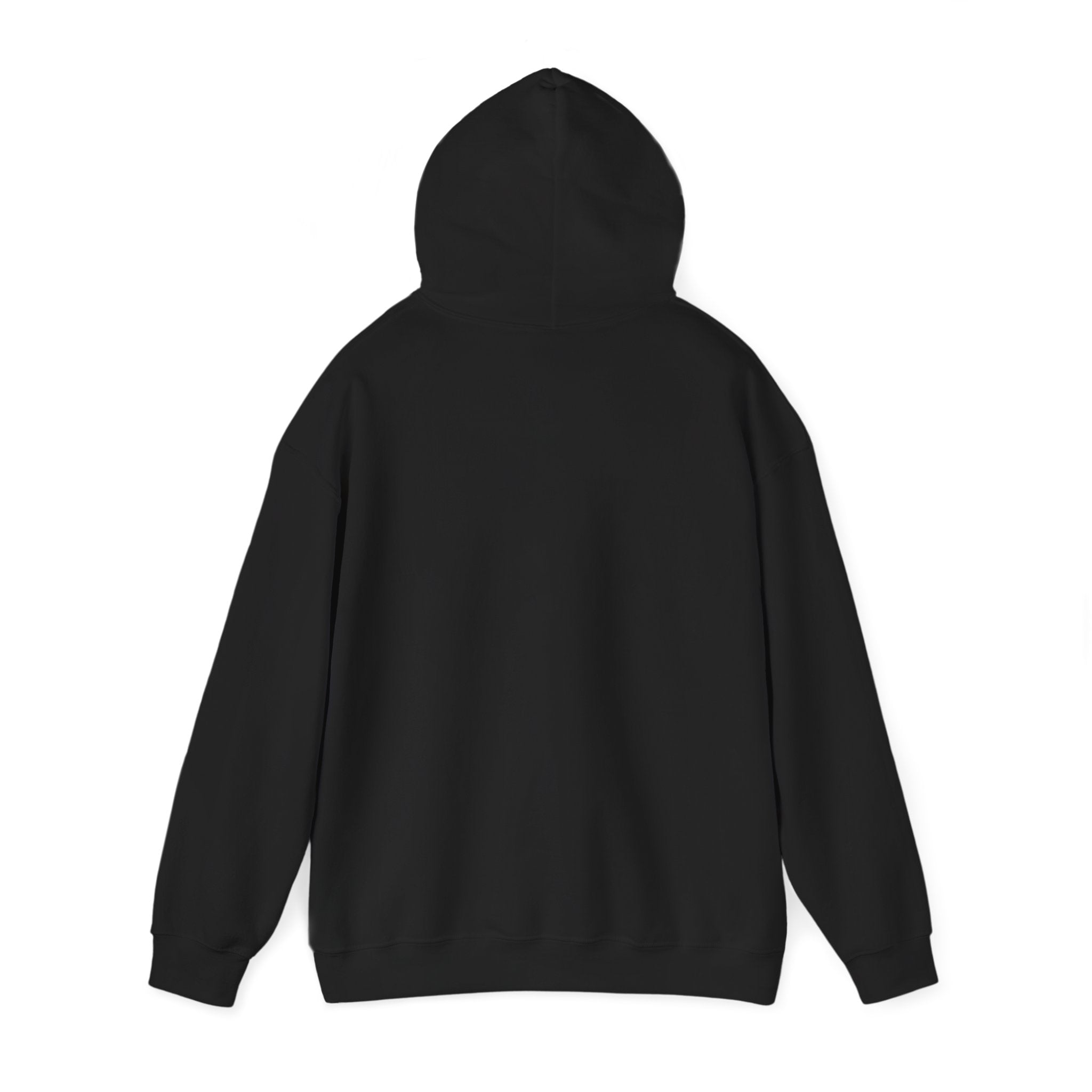 Amsterdam Hoodie zwart achteraanzicht