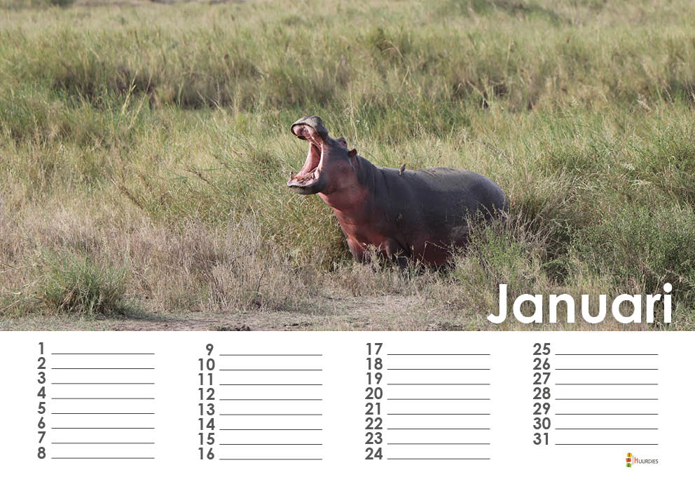 Januari maandindeling voorbeeld