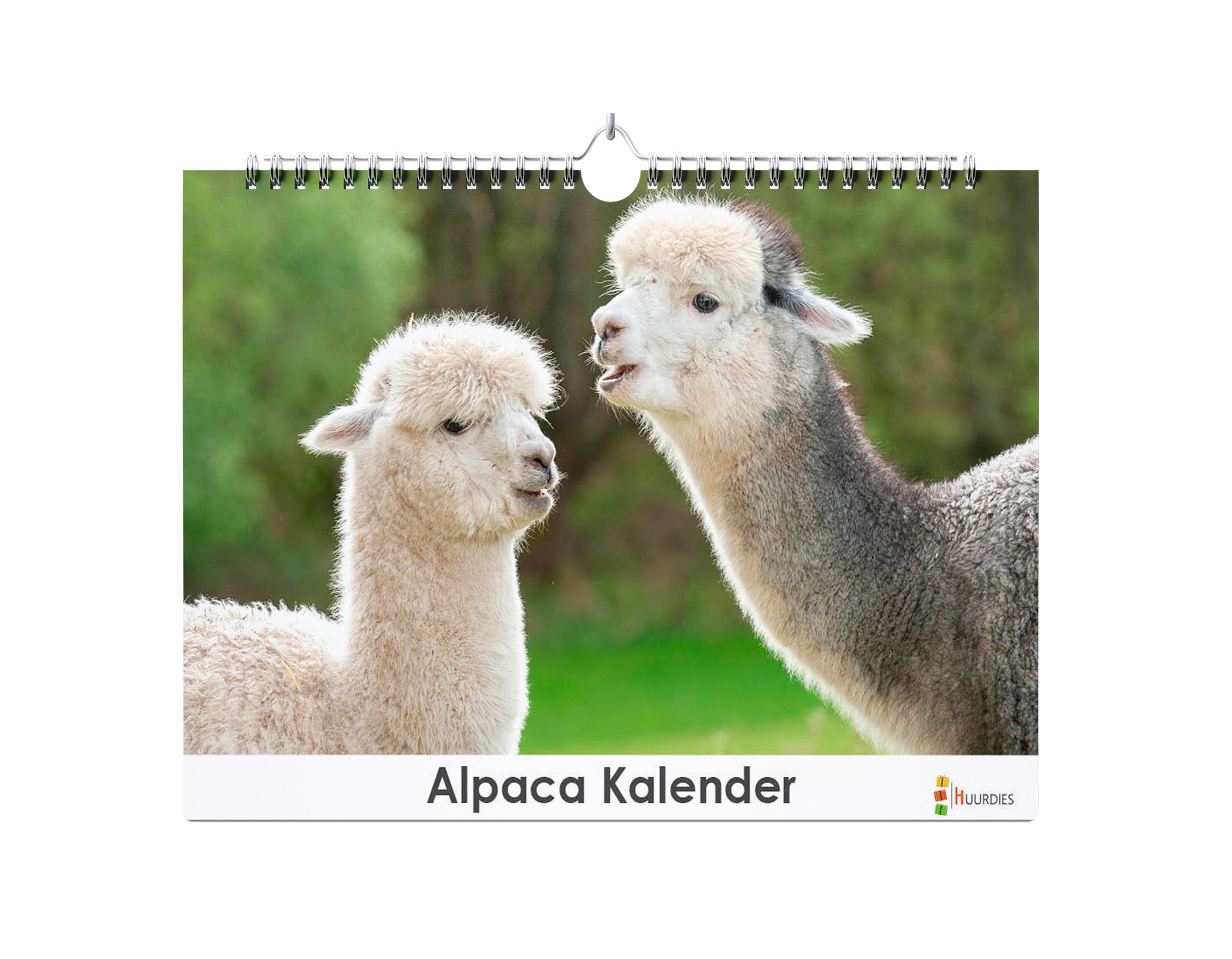 Alpaca verjaardagskalender met afbeelding van alpaca, Huurdies