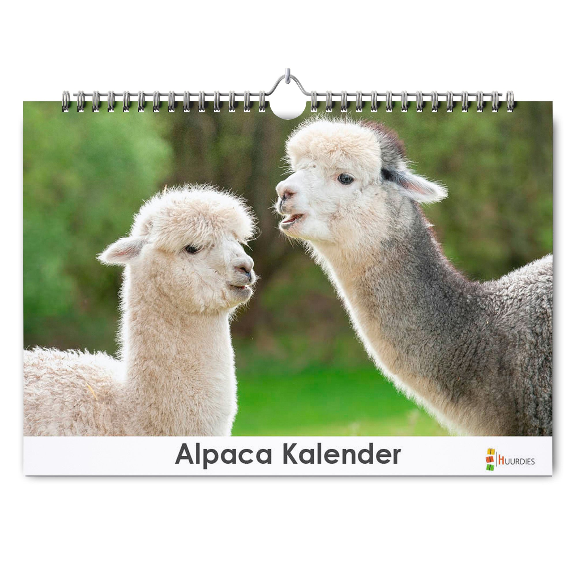 Alpaca verjaardagskalender met afbeelding van alpaca, Huurdies