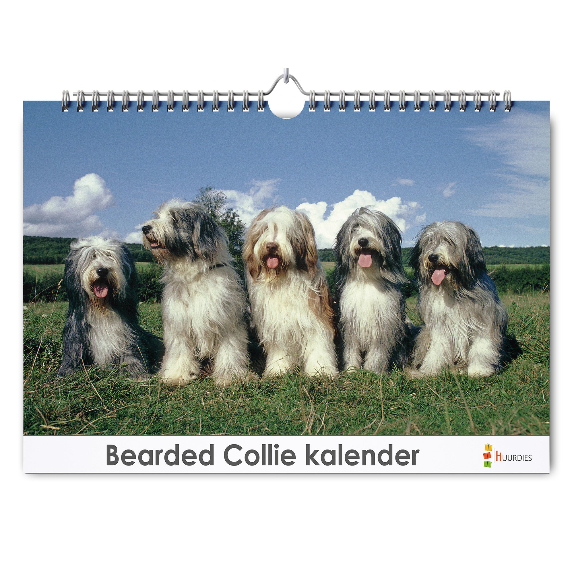 Bearded Collie verjaardagskalender met afbeelding van bearded collie, Huurdies