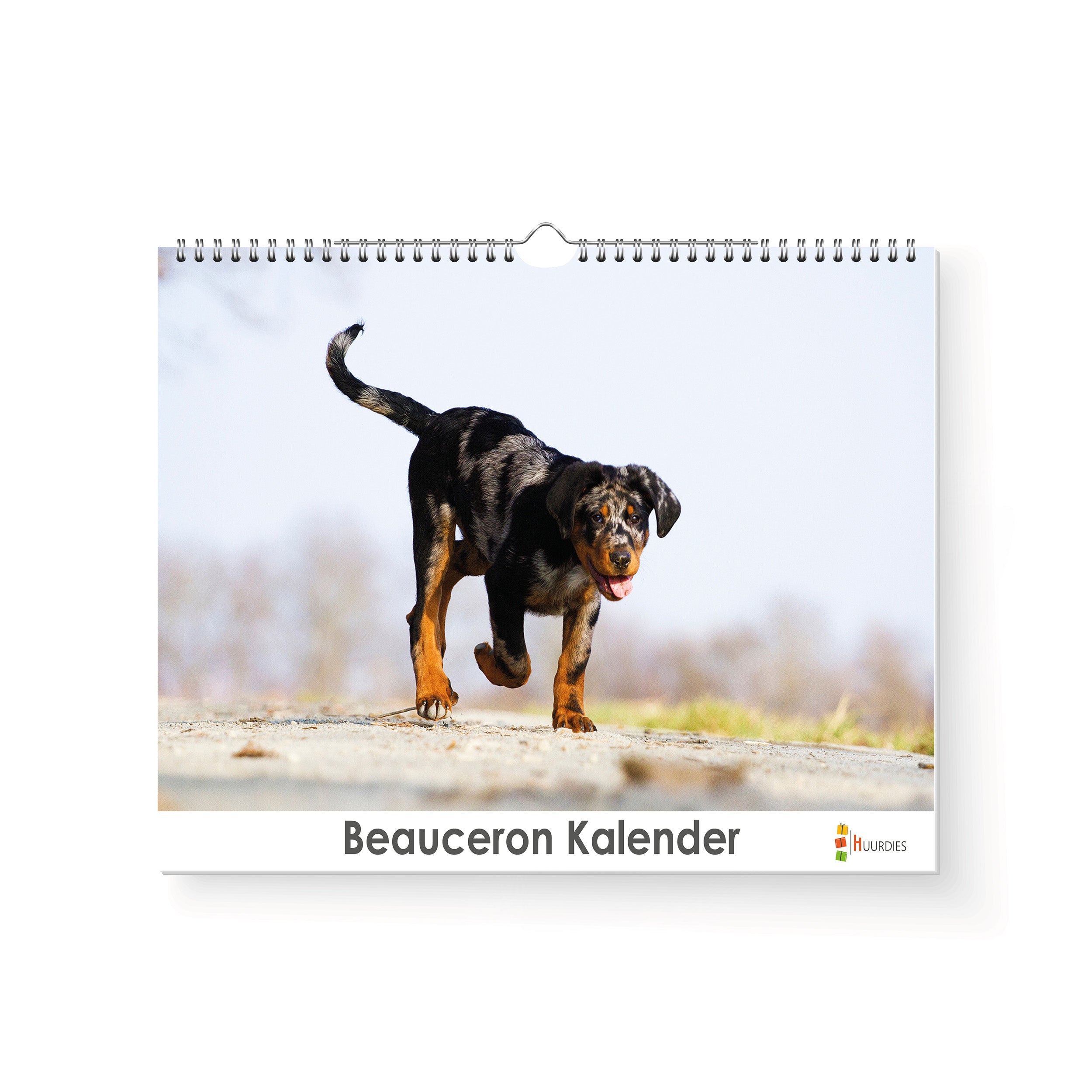 Beauceron verjaardagskalender met afbeelding van beauceron, Huurdies