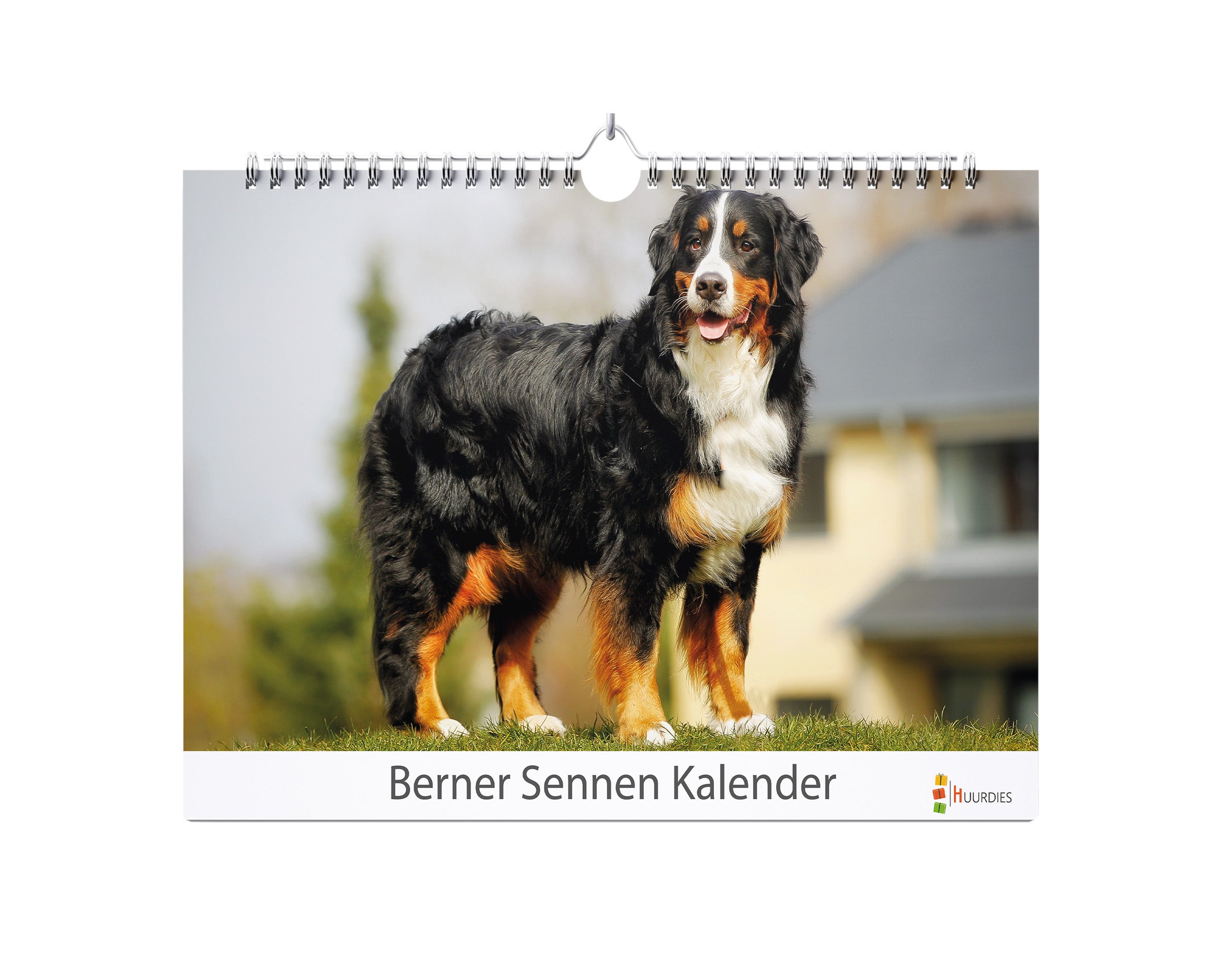 Bernersennenhond verjaardagskalender met afbeelding van bernersennenhond, Huurdies