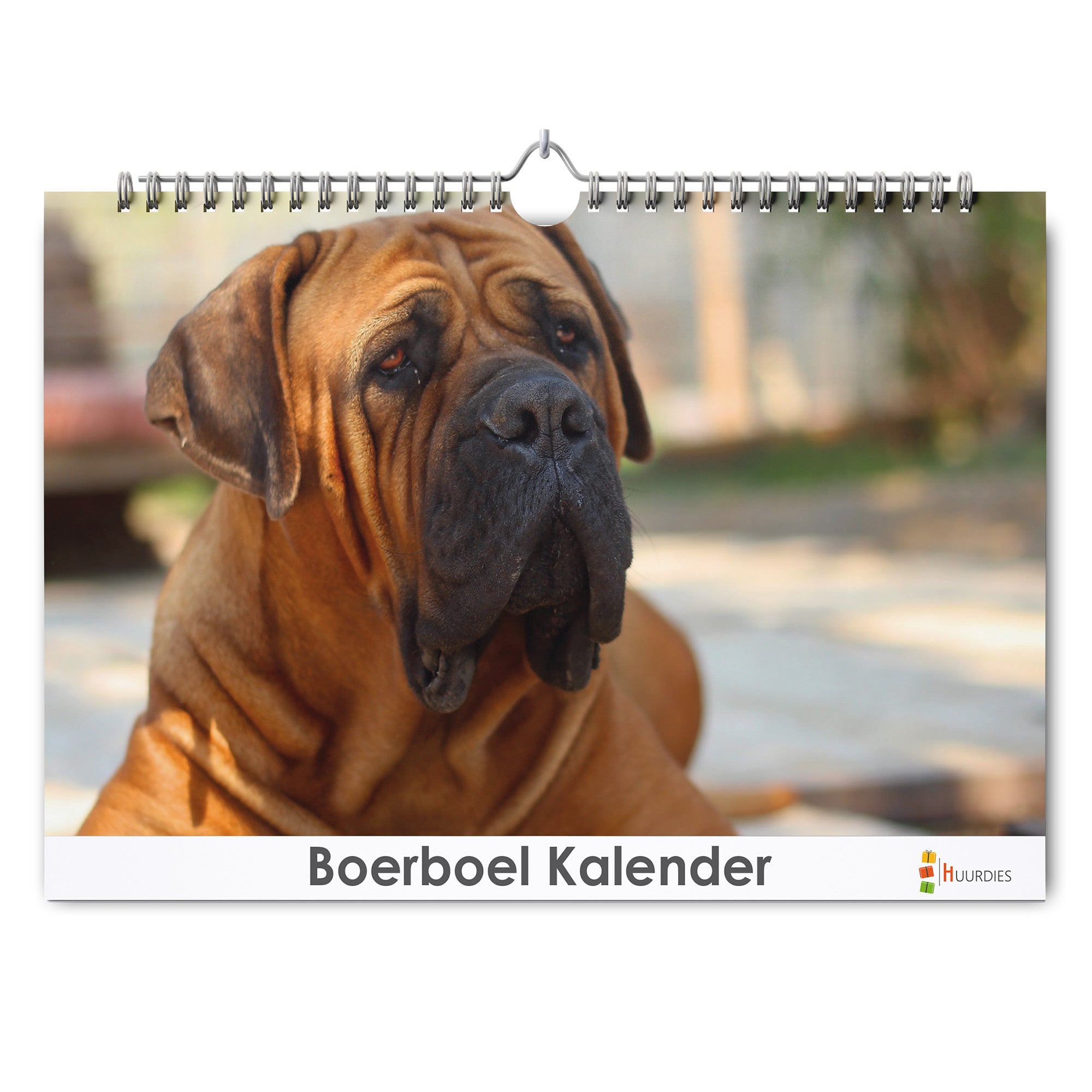 Boerboel verjaardagskalender met afbeelding van boerboel, Huurdies
