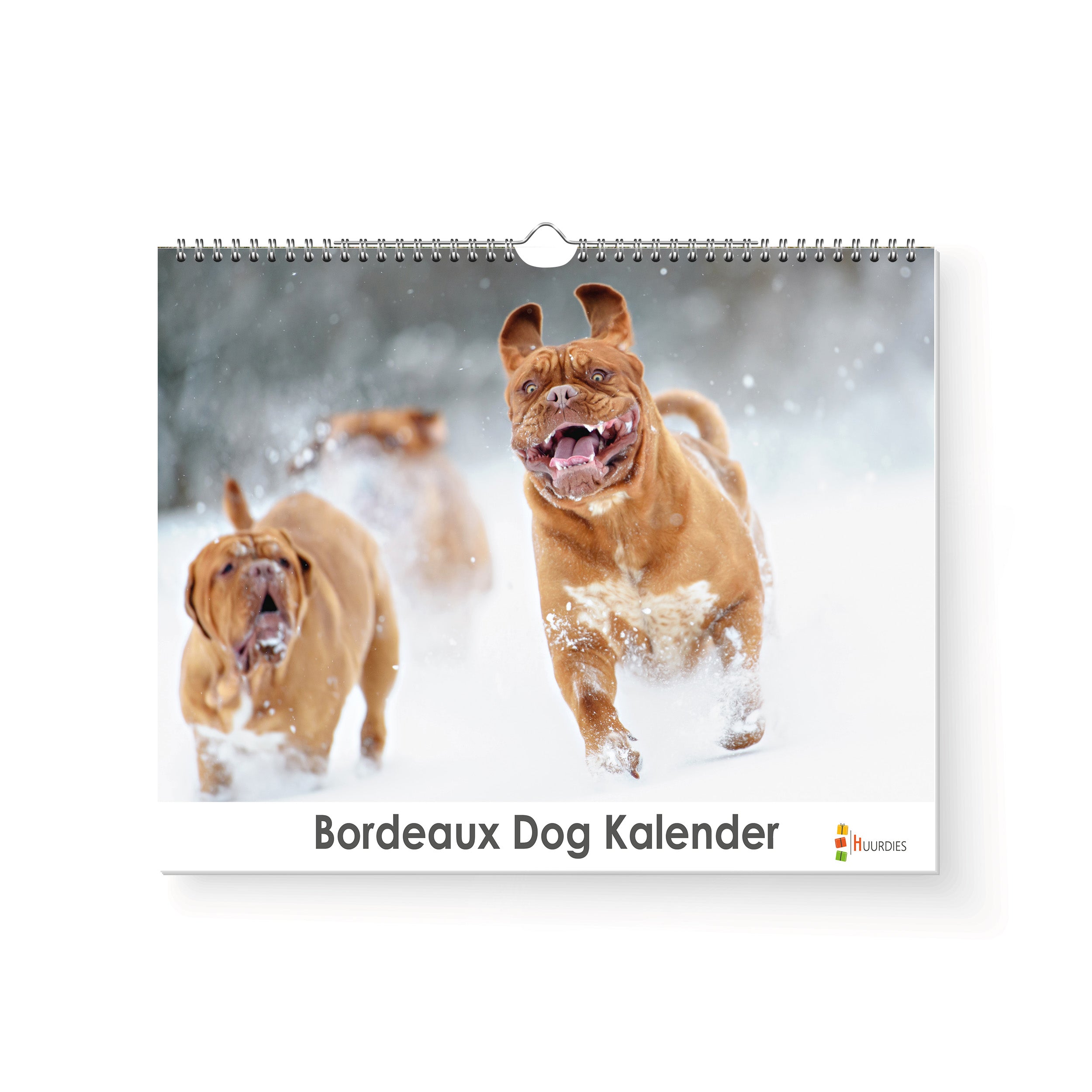 Bordeauxdog verjaardagskalender met afbeelding van bordeauxdog, Huurdies