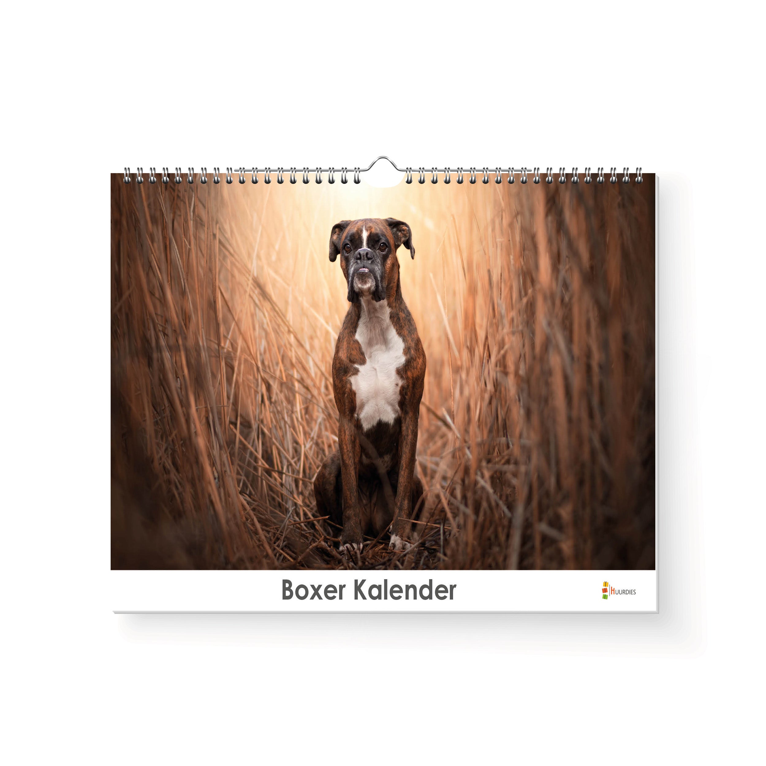 Boxer verjaardagskalender met afbeelding van boxer, Huurdies