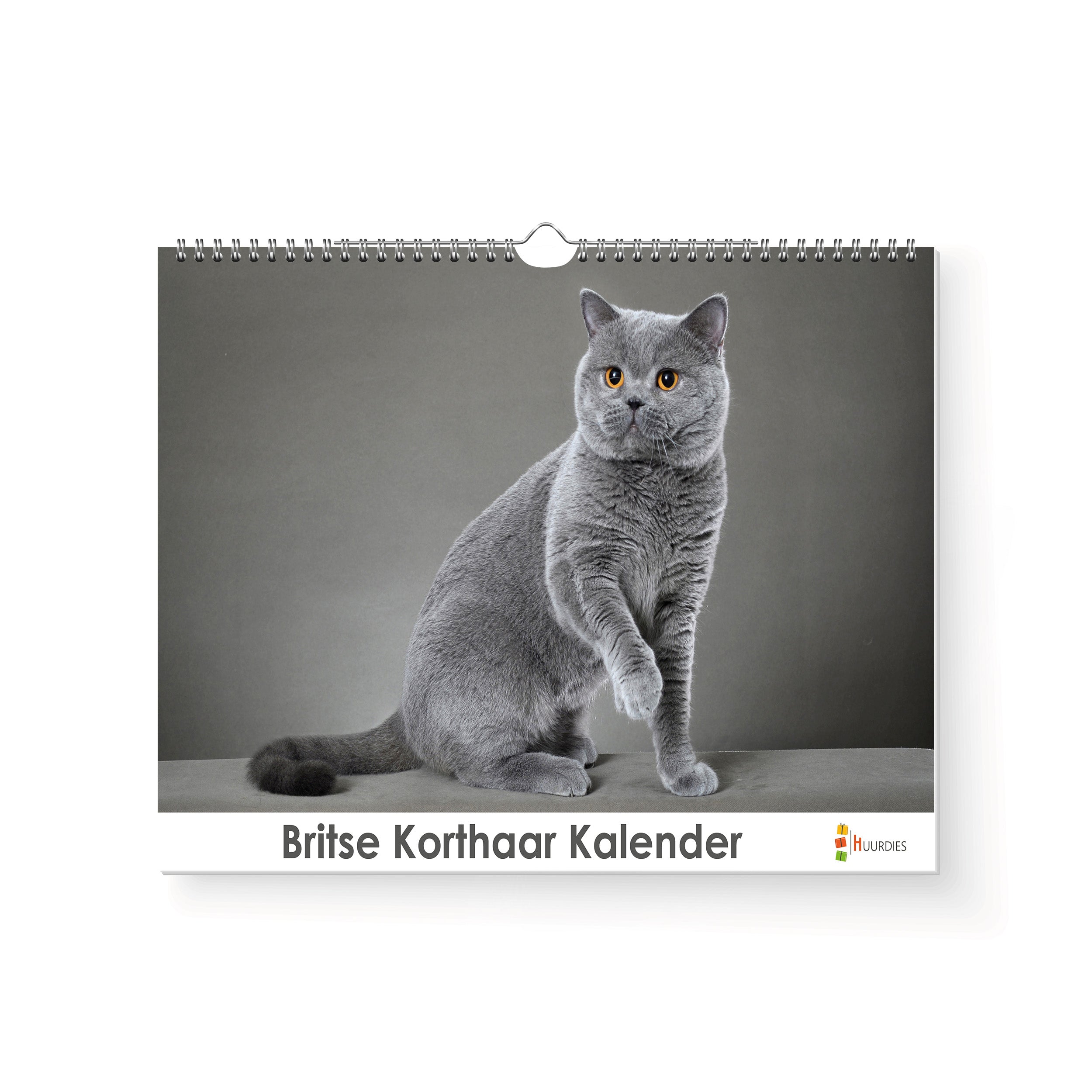 Britse Korthaar verjaardagskalender met afbeelding van britse korthaar, Huurdies