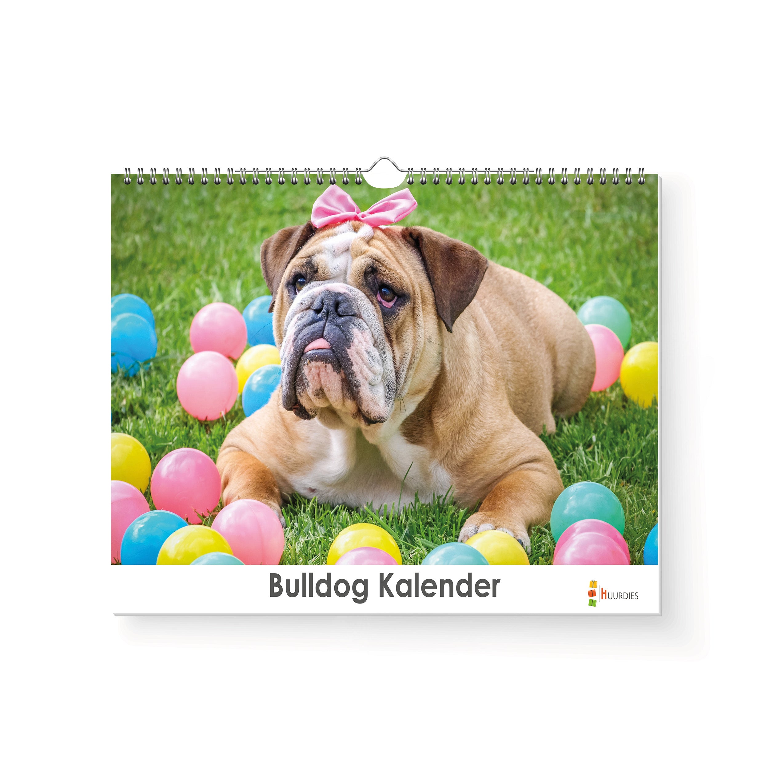 Bulldog verjaardagskalender met afbeelding van bulldog, Huurdies