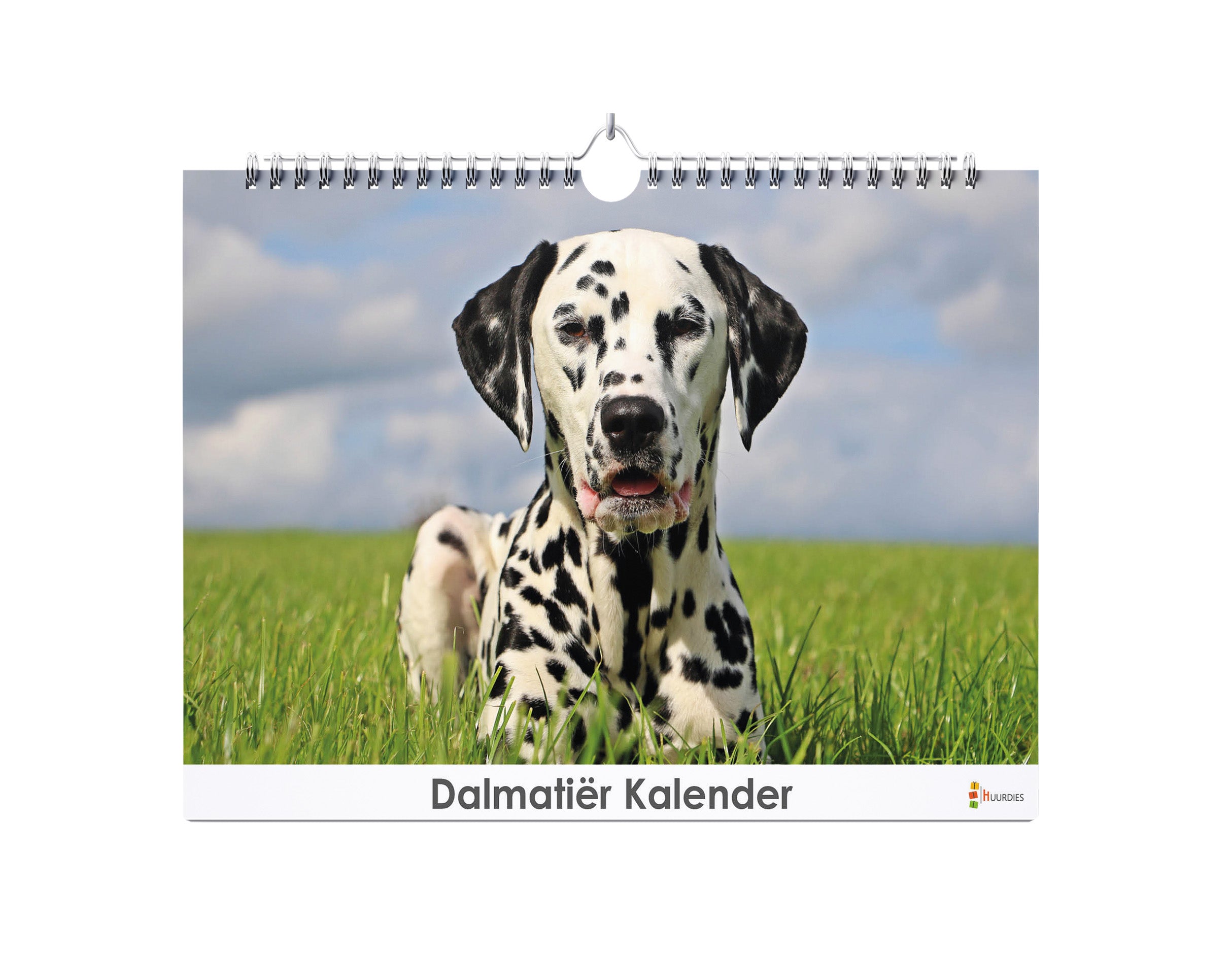 Dalmatiër verjaardagskalender met afbeelding van dalmatiër, Huurdies