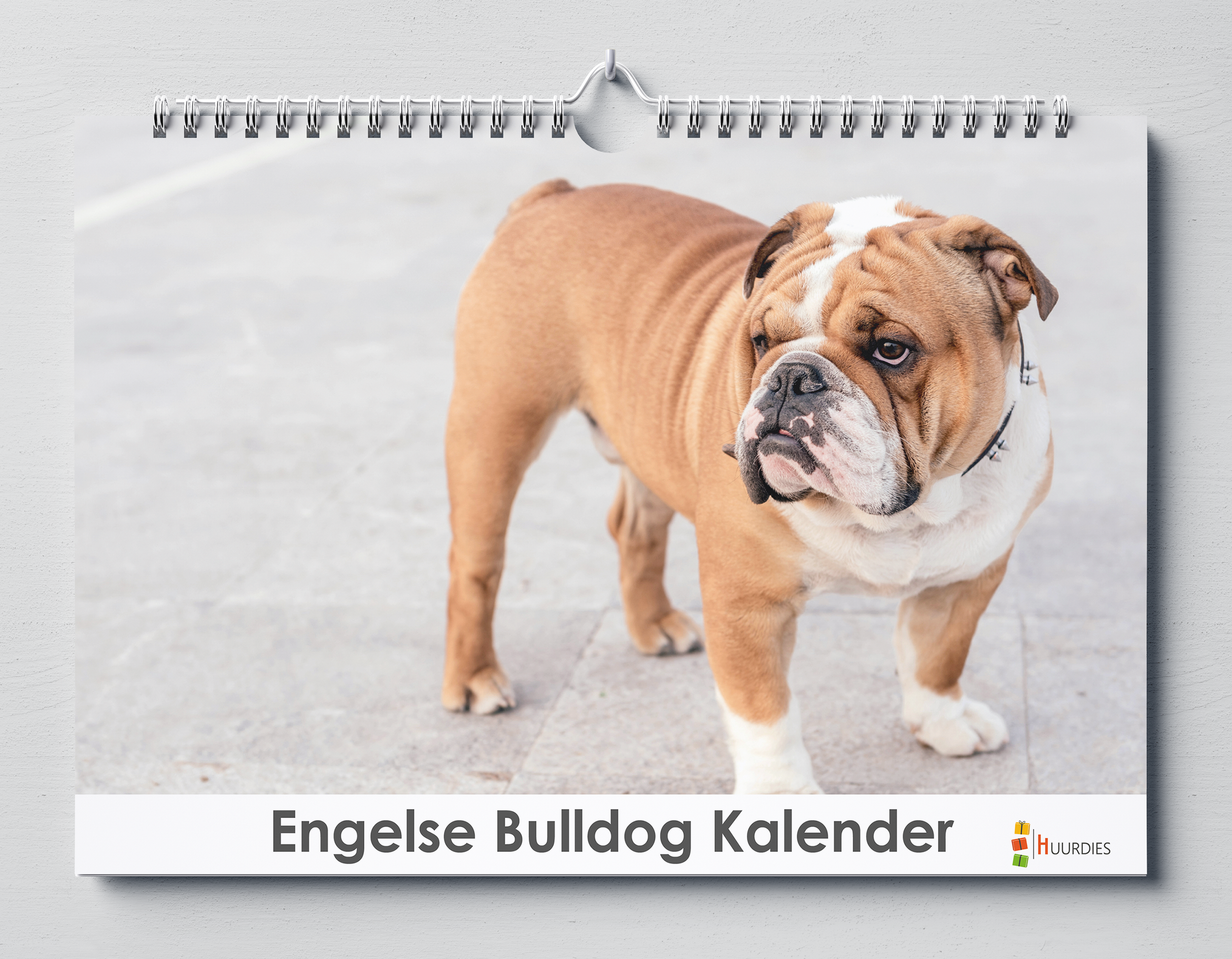 Engelse Bulldog verjaardagskalender met afbeelding van engelse bulldog, Huurdies