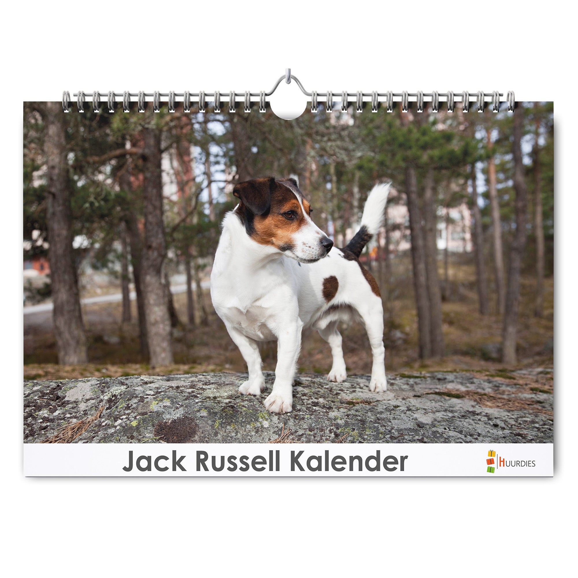 Jack Russell verjaardagskalender met afbeelding van jack russell, Huurdies