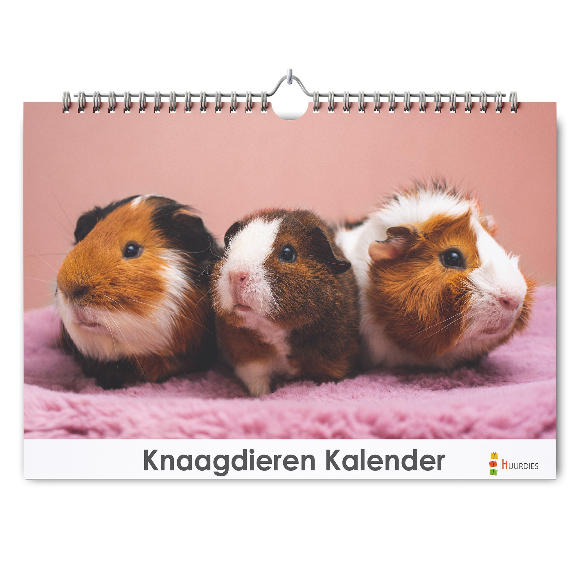 Knaagdieren verjaardagskalender met afbeelding van knaagdieren, Huurdies