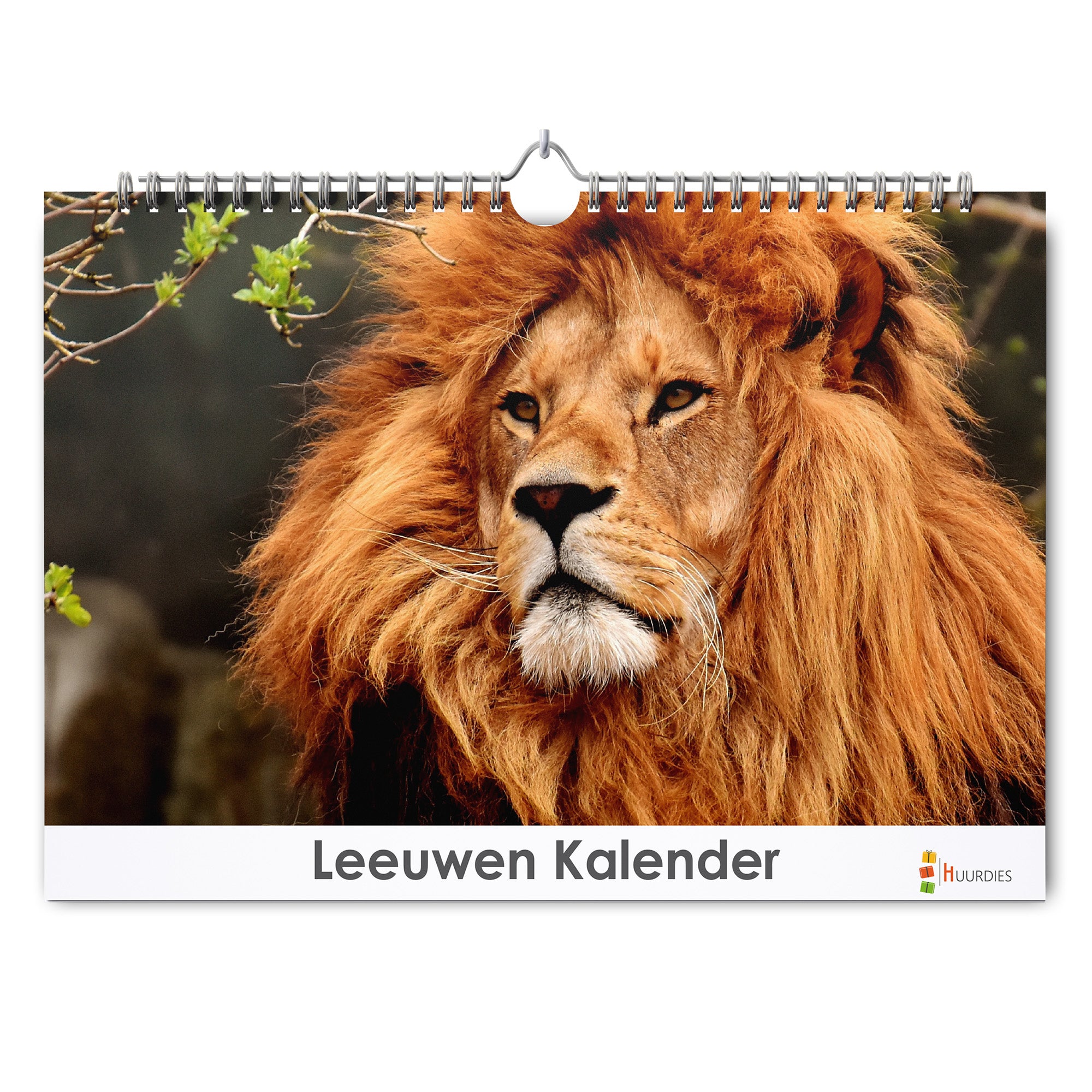 Leeuwen verjaardagskalender met afbeelding van leeuwen, Huurdies