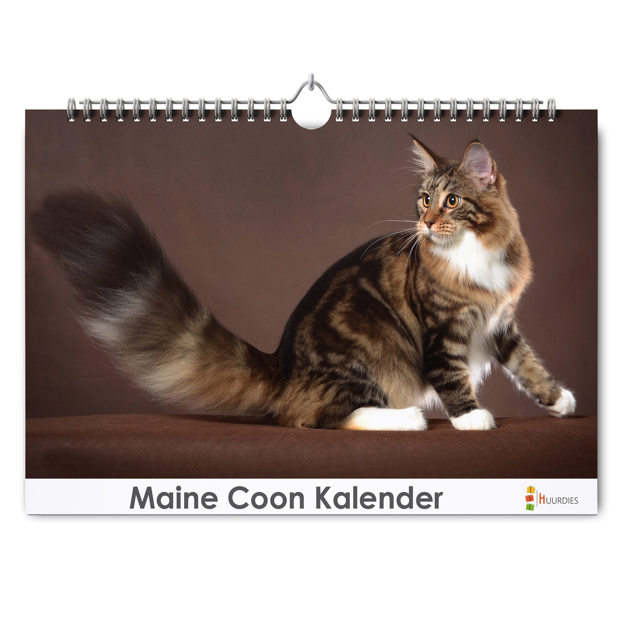 Maine Coon verjaardagskalender met afbeelding van maine coon, Huurdies