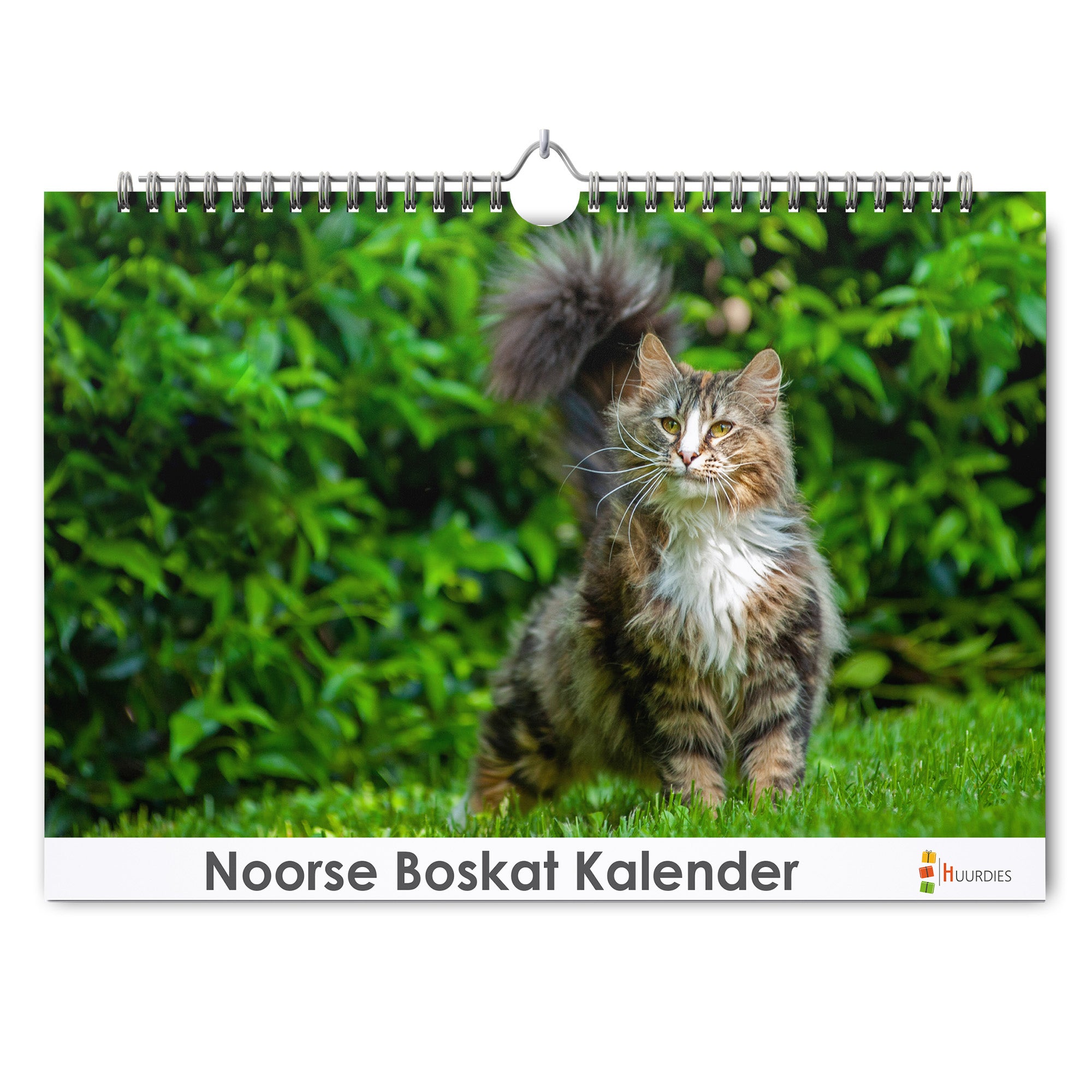 Noorse Boskat verjaardagskalender met afbeelding van noorse boskat, Huurdies
