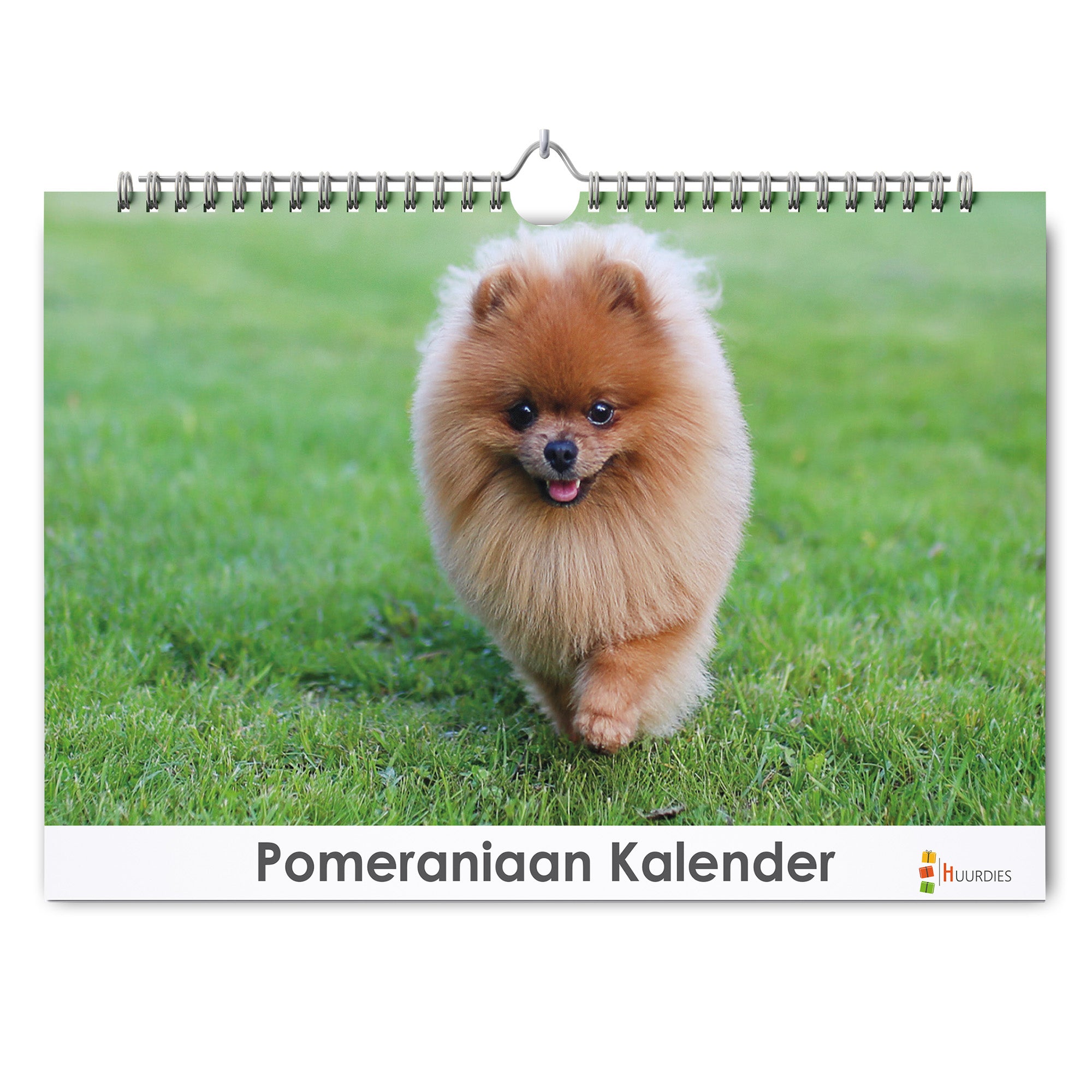 Pomeriaan verjaardagskalender met afbeelding van pomeriaan, Huurdies