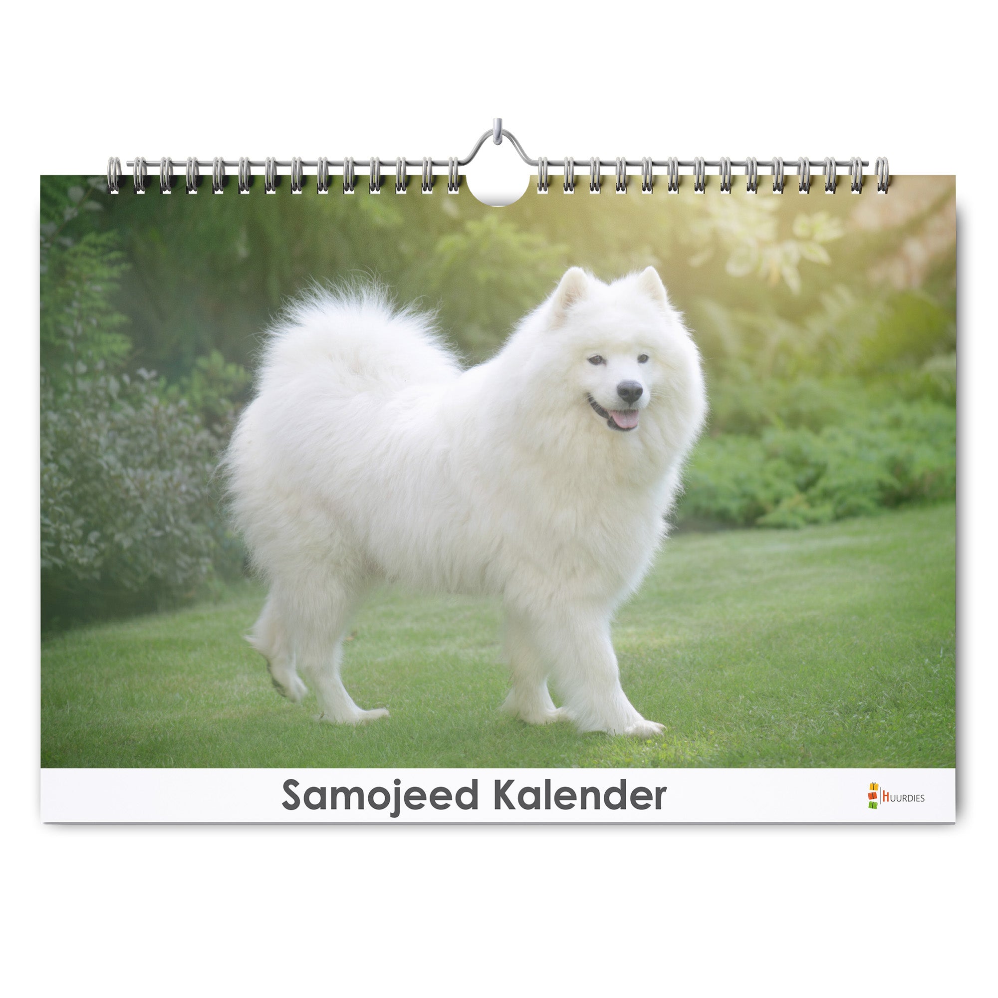Samojeed verjaardagskalender met afbeelding van samojeed, Huurdies