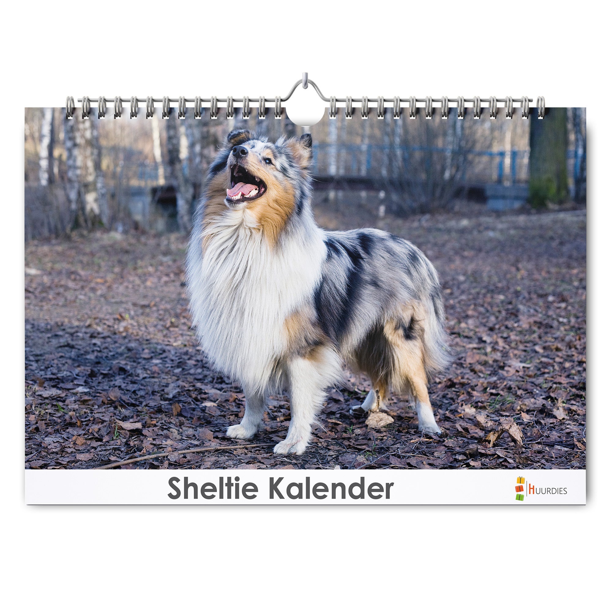 Sheltie verjaardagskalender met afbeelding van sheltie, Huurdies