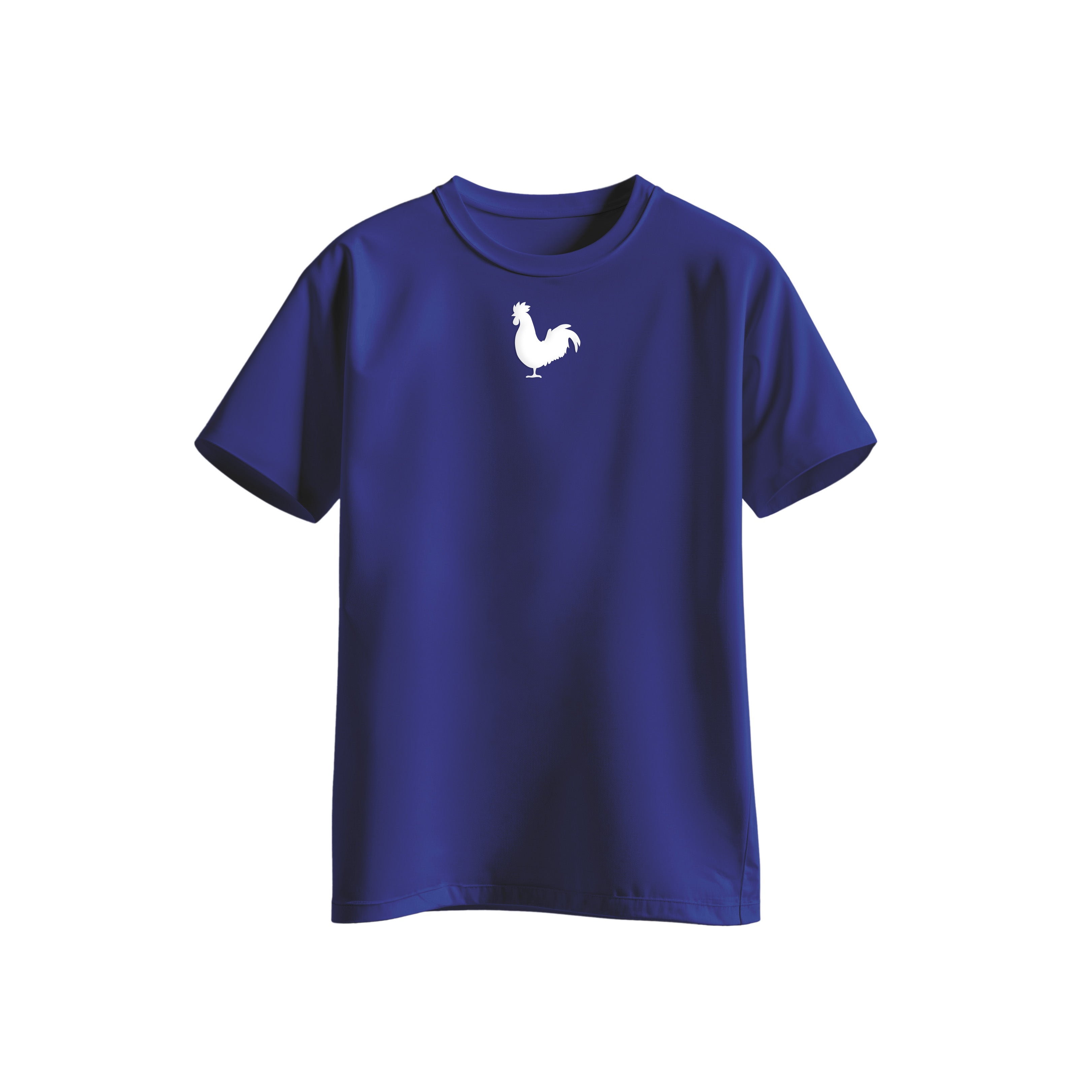 Frankrijk T-shirt zwart met vlaglogo midden borst minimalistisch