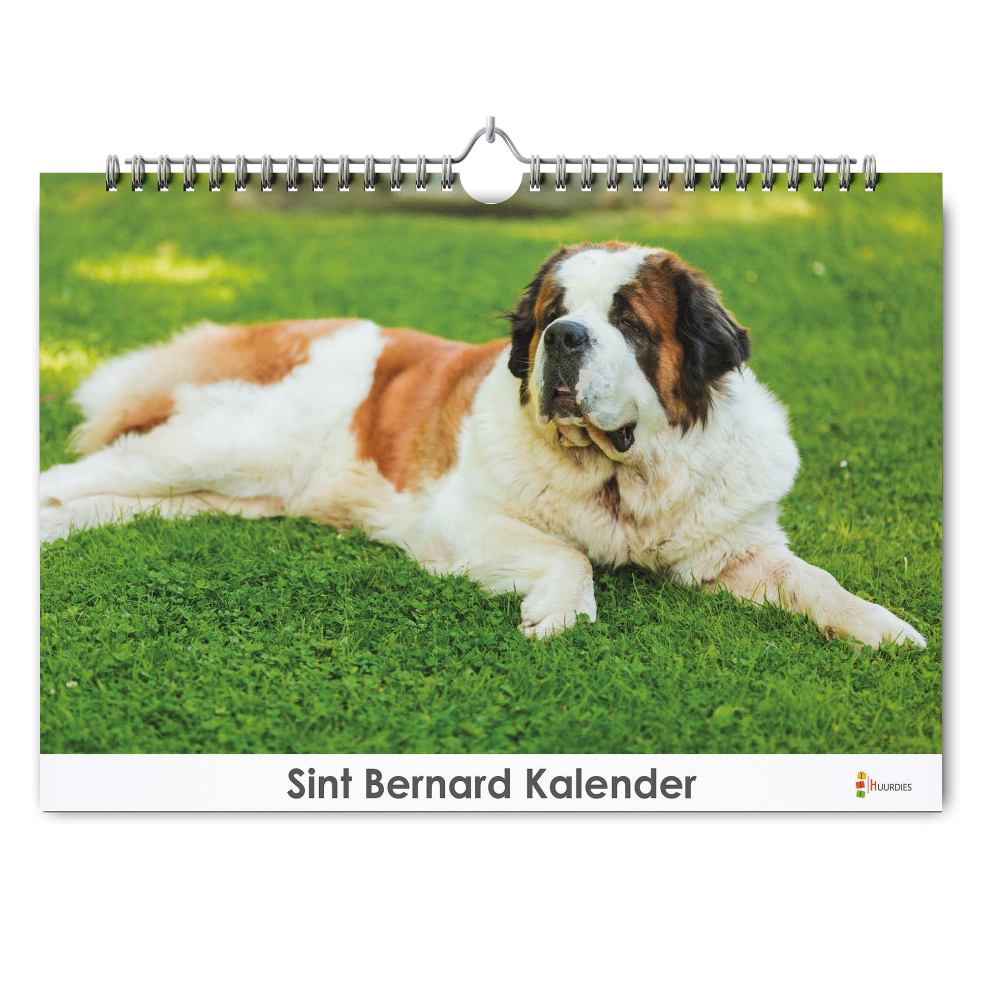 Sint Bernard verjaardagskalender met afbeelding van sint bernard, Huurdies