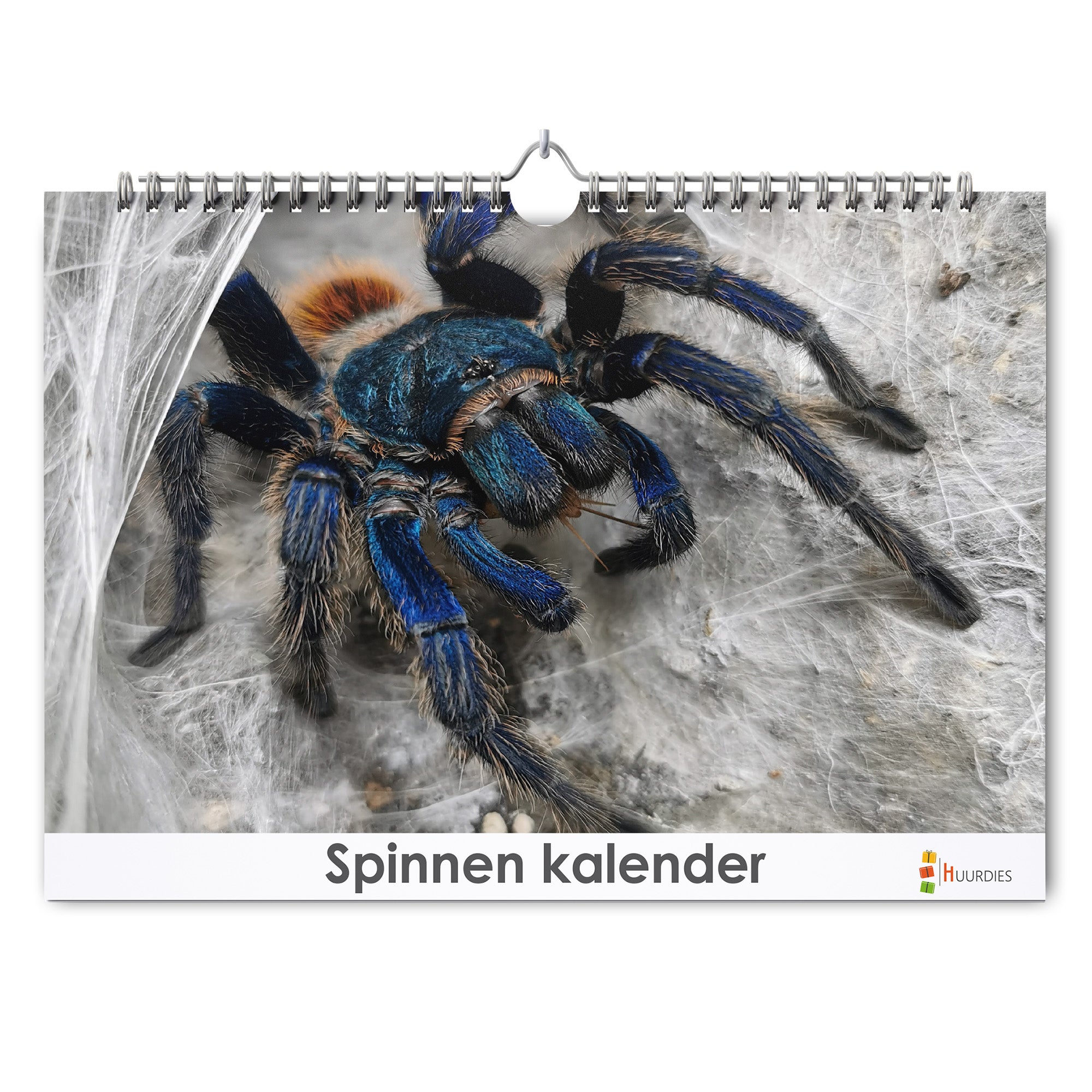 Spin verjaardagskalender met afbeelding van spin, Huurdies