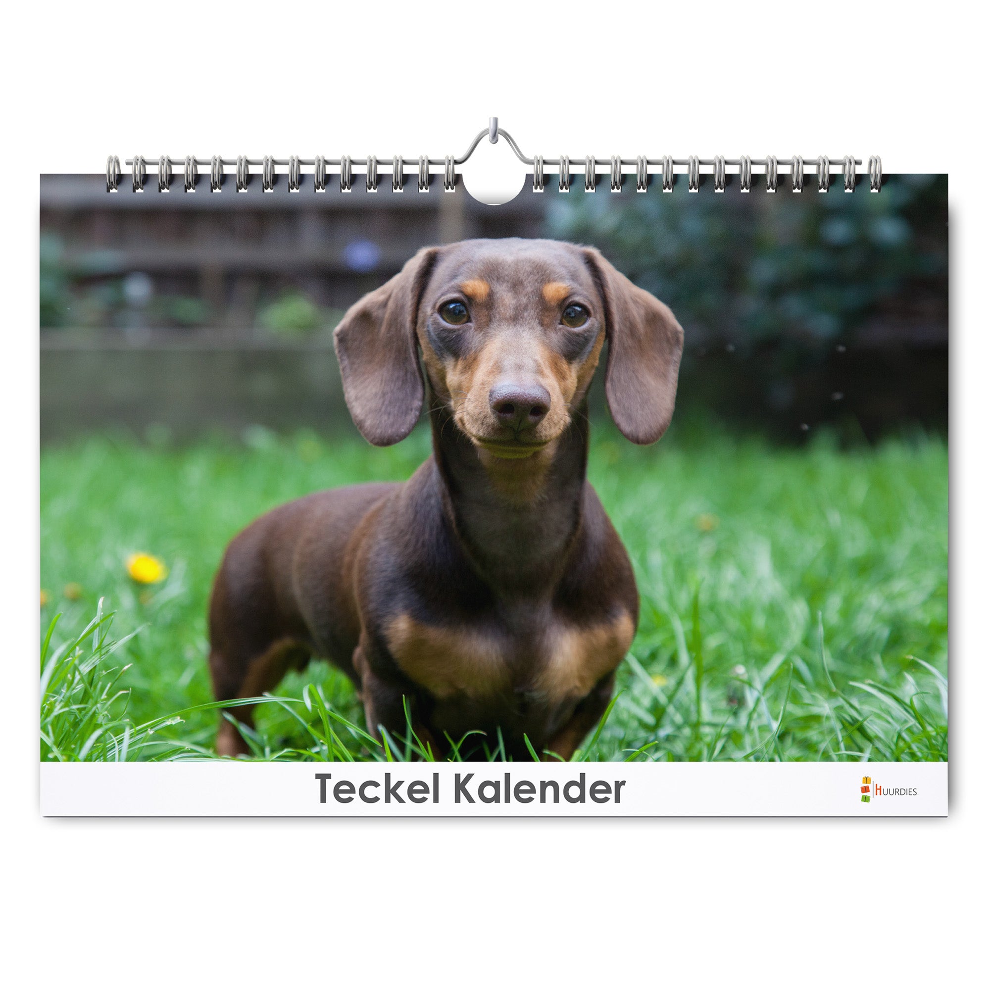 Teckel verjaardagskalender met afbeelding van teckel, Huurdies