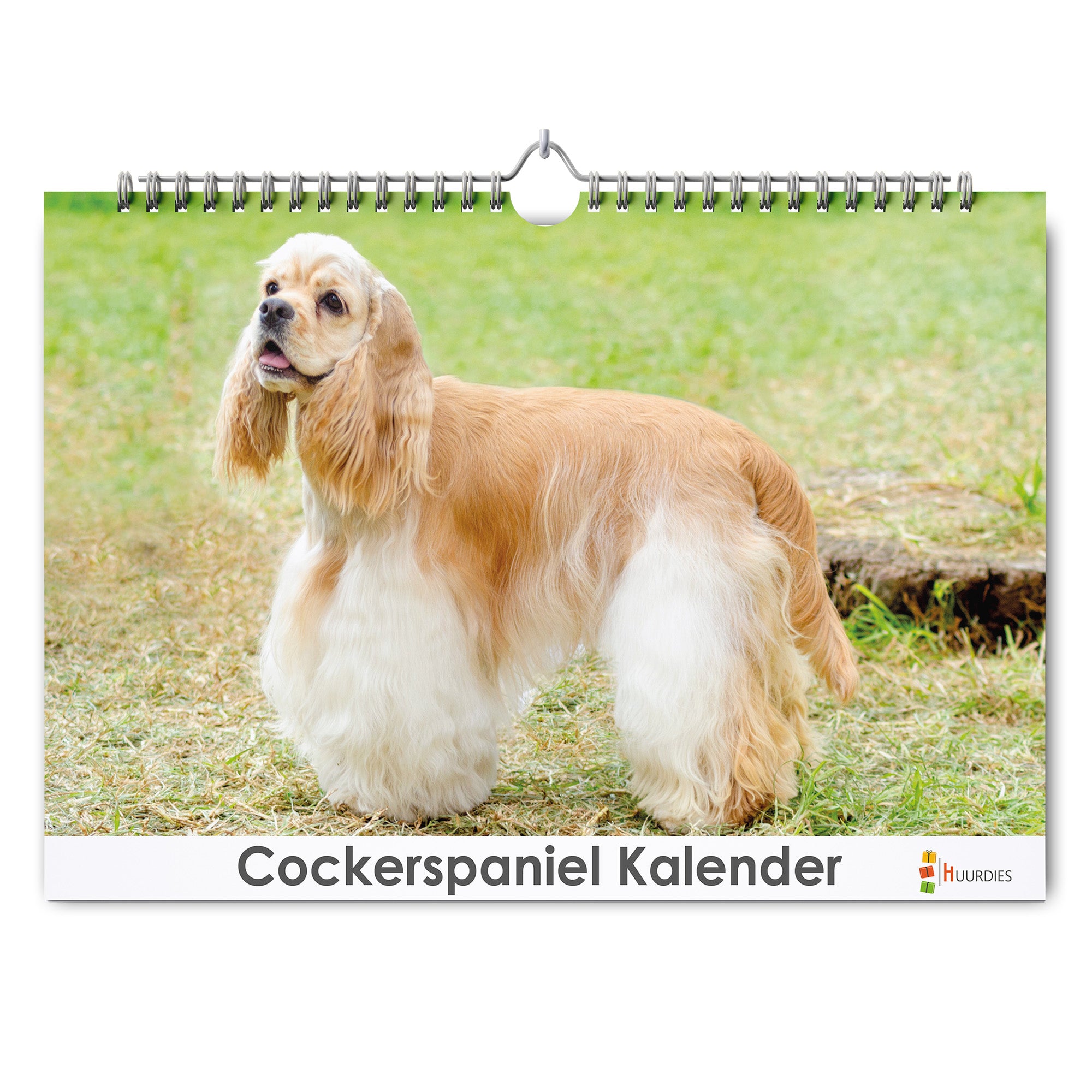 American Cockerspaniël verjaardagskalender met afbeelding van american cockerspaniël, Huurdies