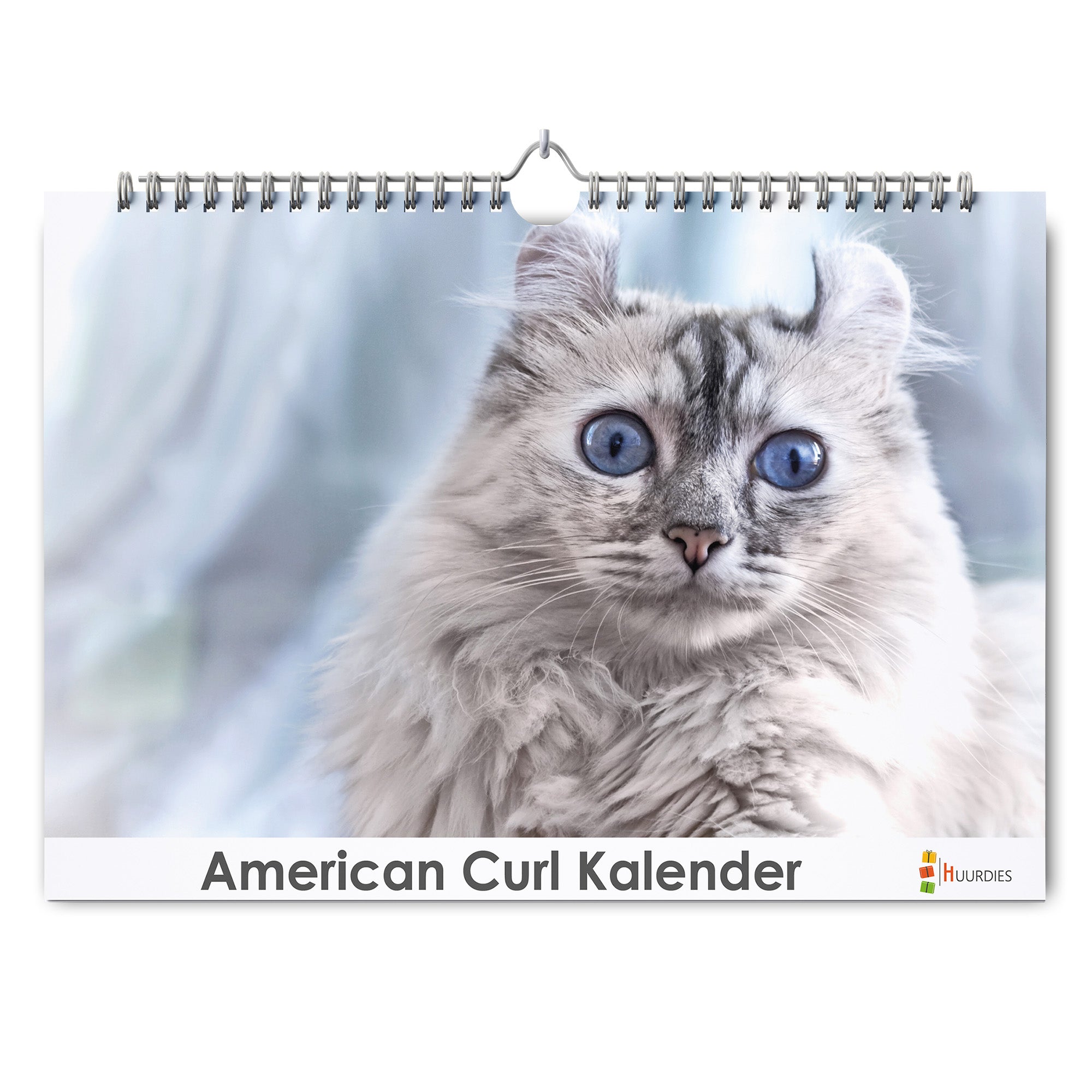 American Curl verjaardagskalender met afbeelding van american curl, Huurdies