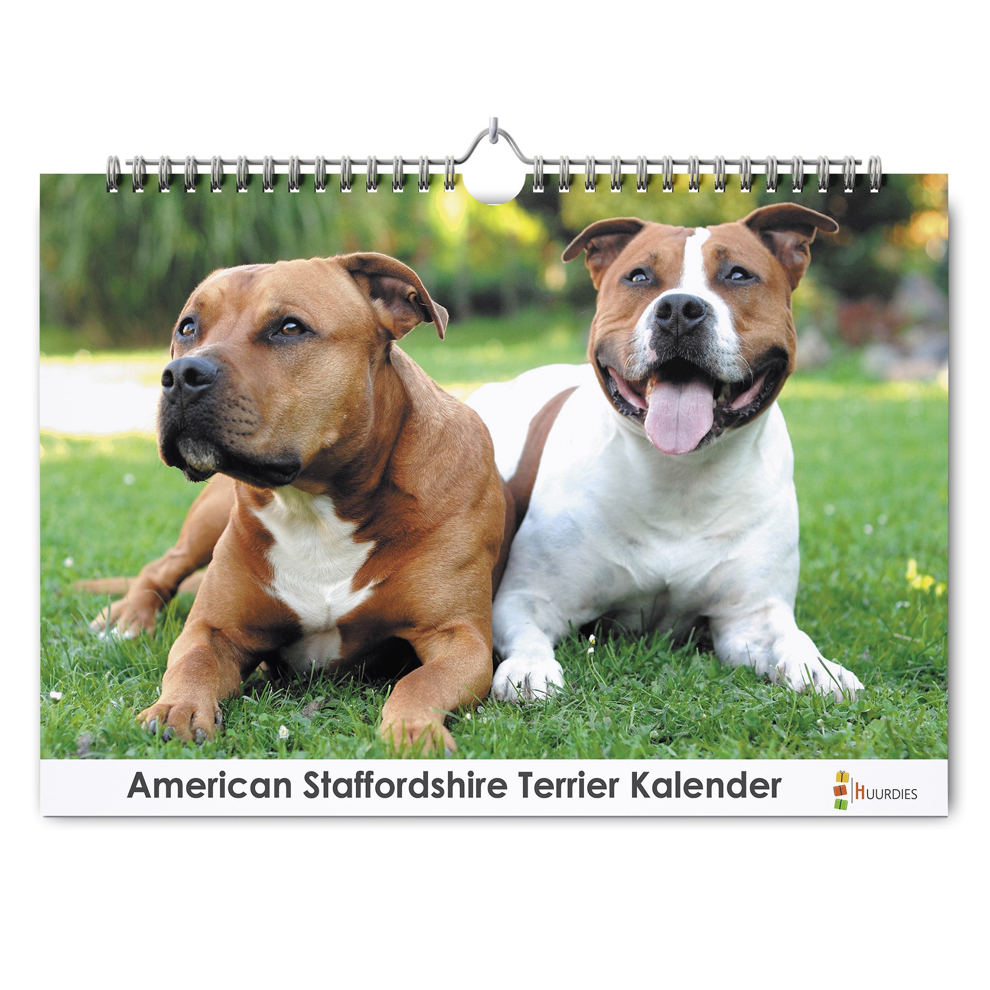 American Staffordshireterriër verjaardagskalender met afbeelding van american staffordshireterriër, Huurdies