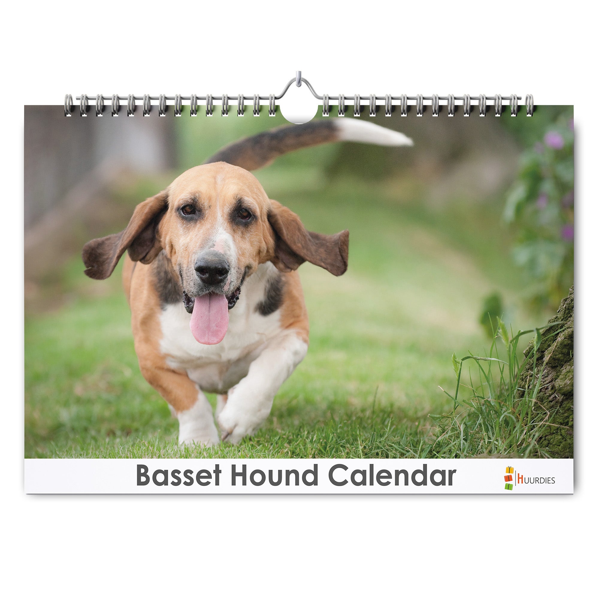 Basset Hound verjaardagskalender met afbeelding van basset hound, Huurdies