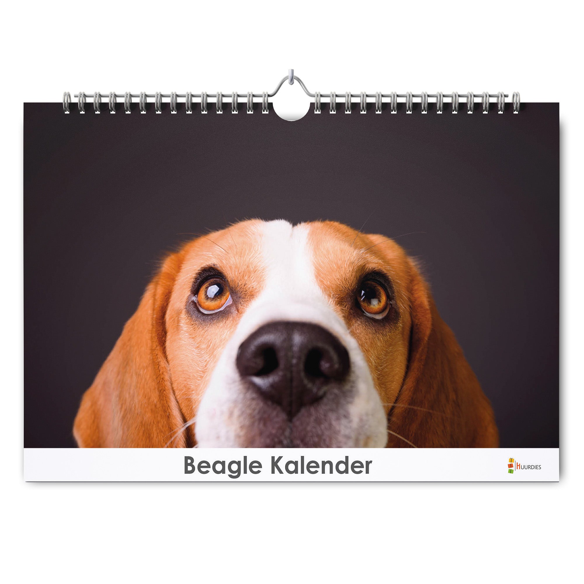 Beagle verjaardagskalender met afbeelding van beagle, Huurdies