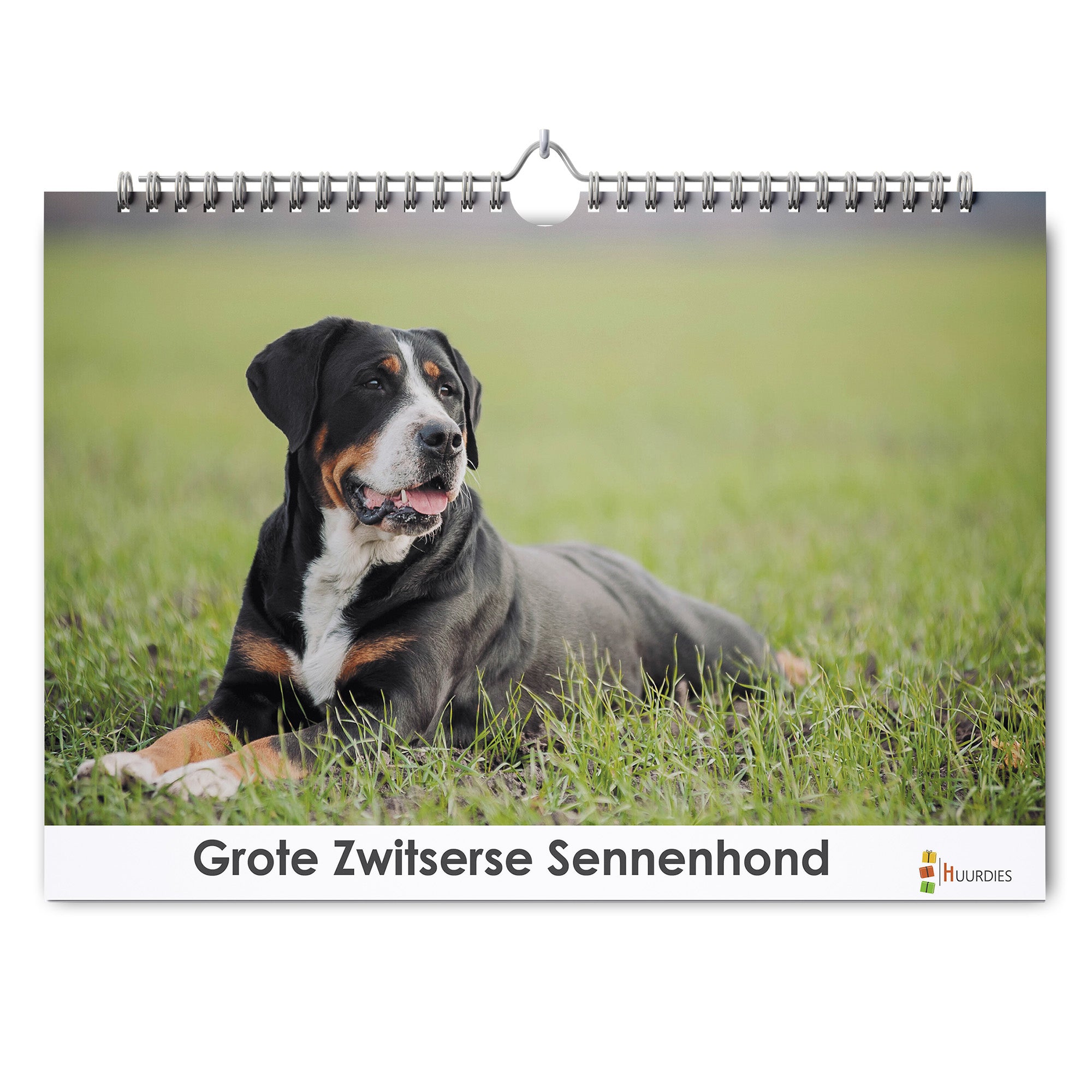 Grote Zwitserse Sennenhond verjaardagskalender met afbeelding van grote zwitserse sennenhond, Huurdies