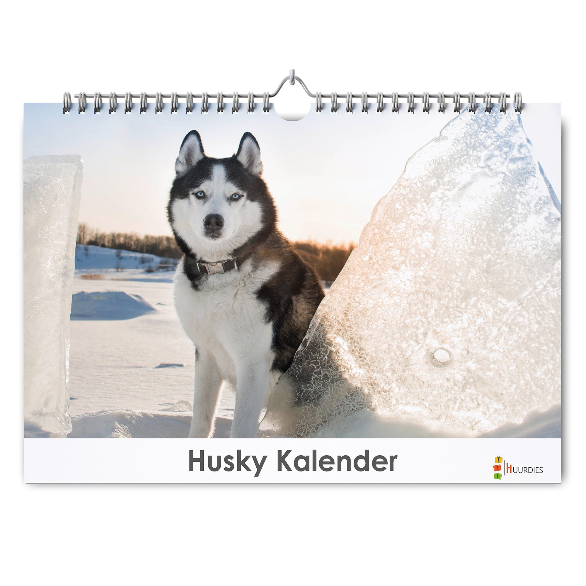 Husky verjaardagskalender met afbeelding van husky, Huurdies