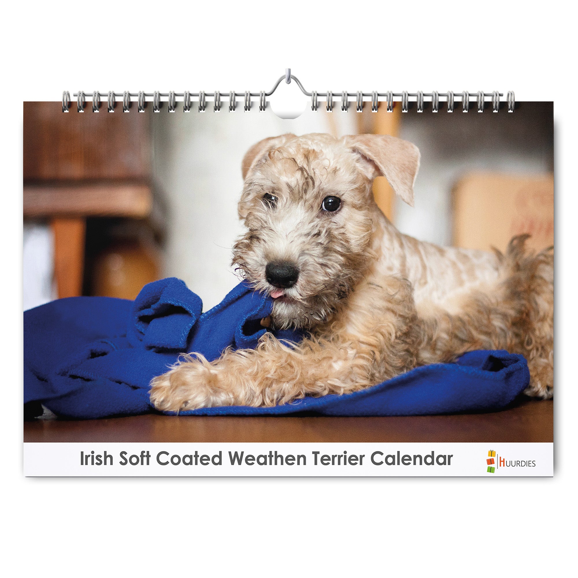 Iris Soft Coated Wheaten Terriër verjaardagskalender met afbeelding van iris soft coated wheaten terriër, Huurdies
