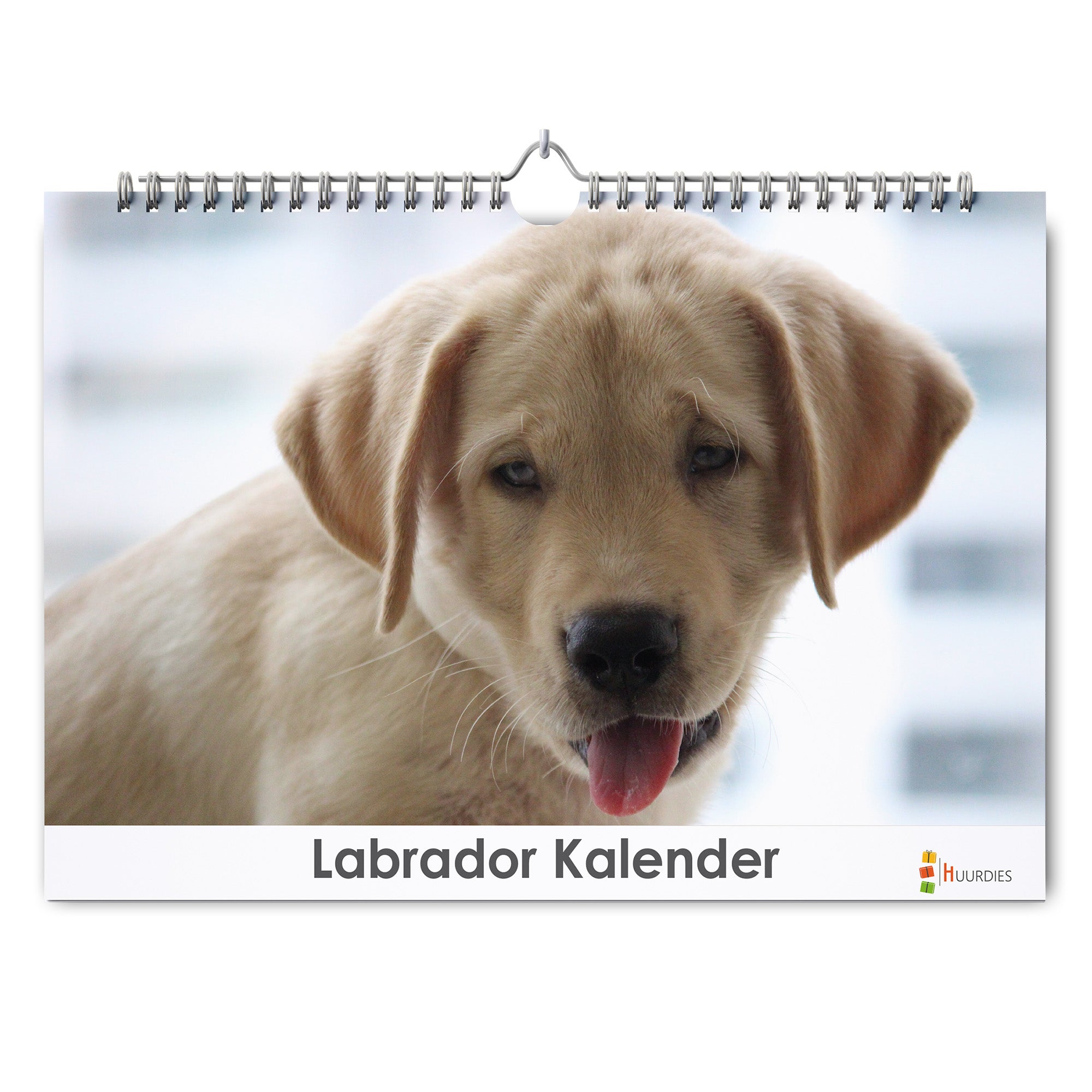 Lama verjaardagskalender met afbeelding van lama, Huurdies