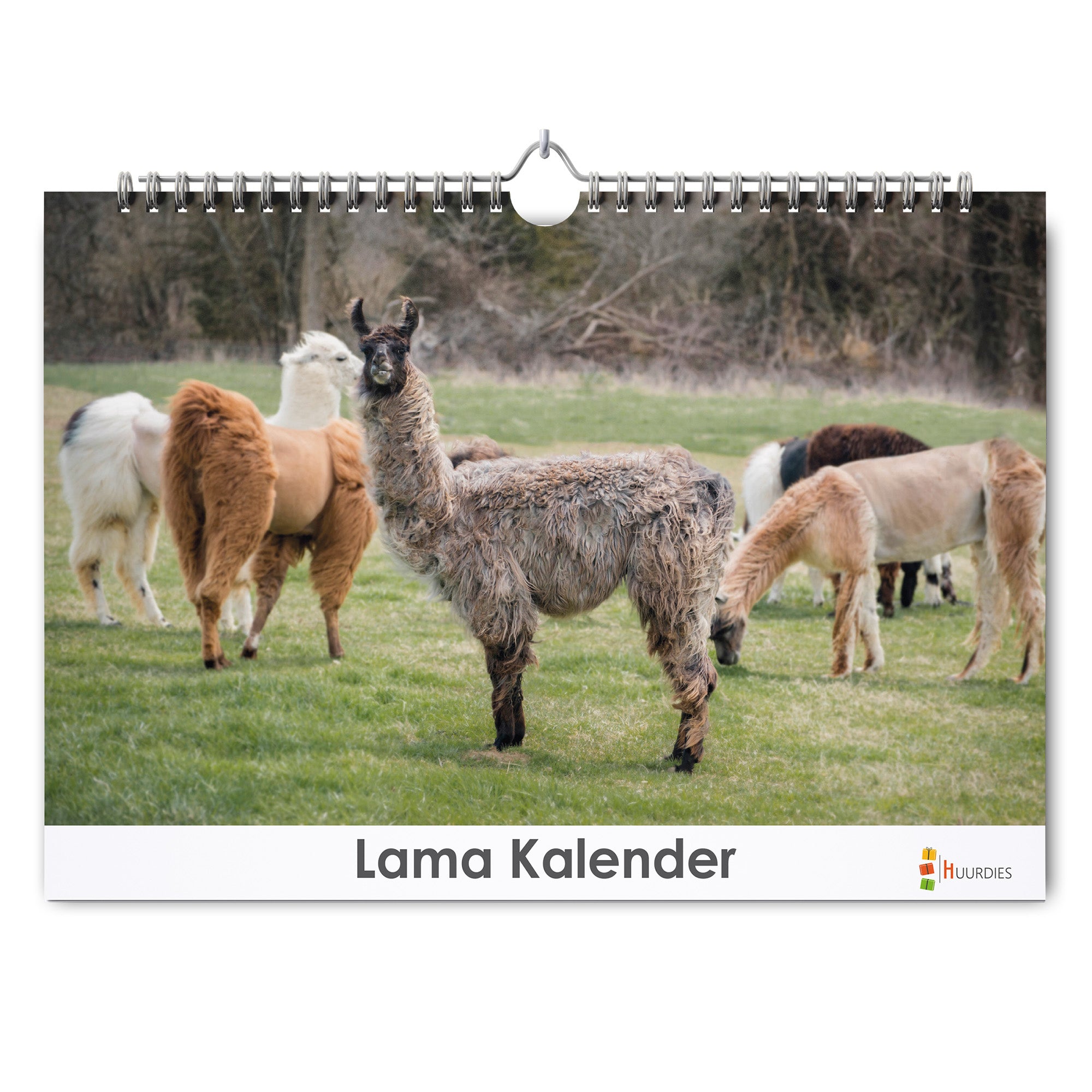 Landschap verjaardagskalender met afbeelding van landschap, Huurdies