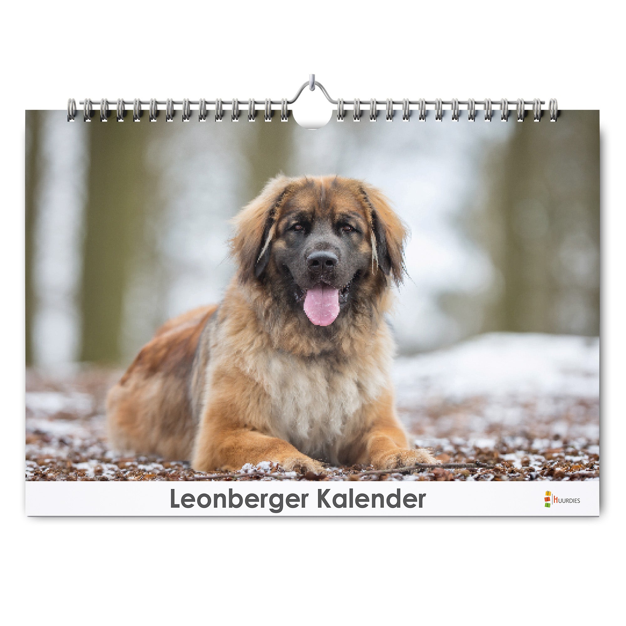 Leonberger verjaardagskalender met afbeelding van leonberger, Huurdies