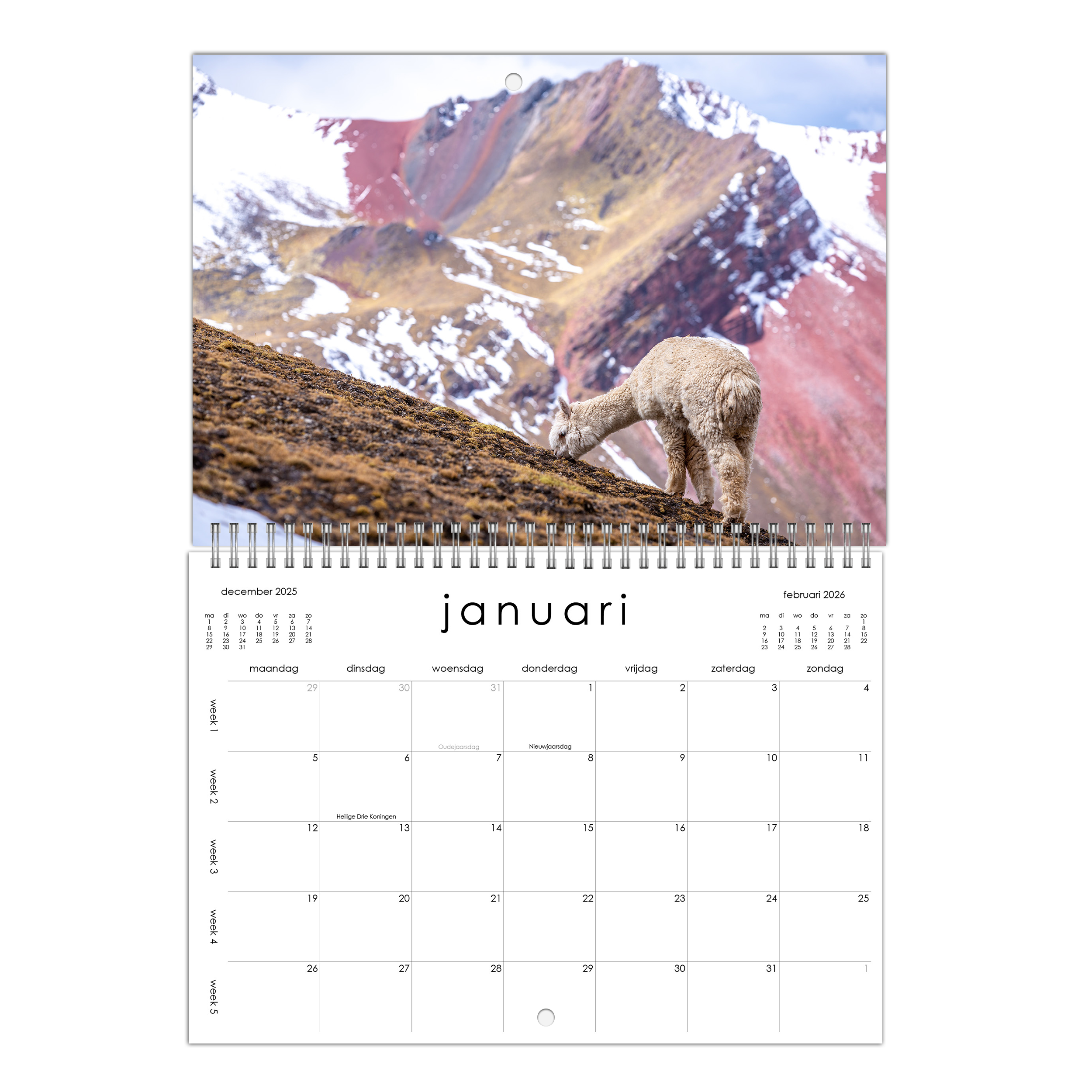 Alpaca Kalender
